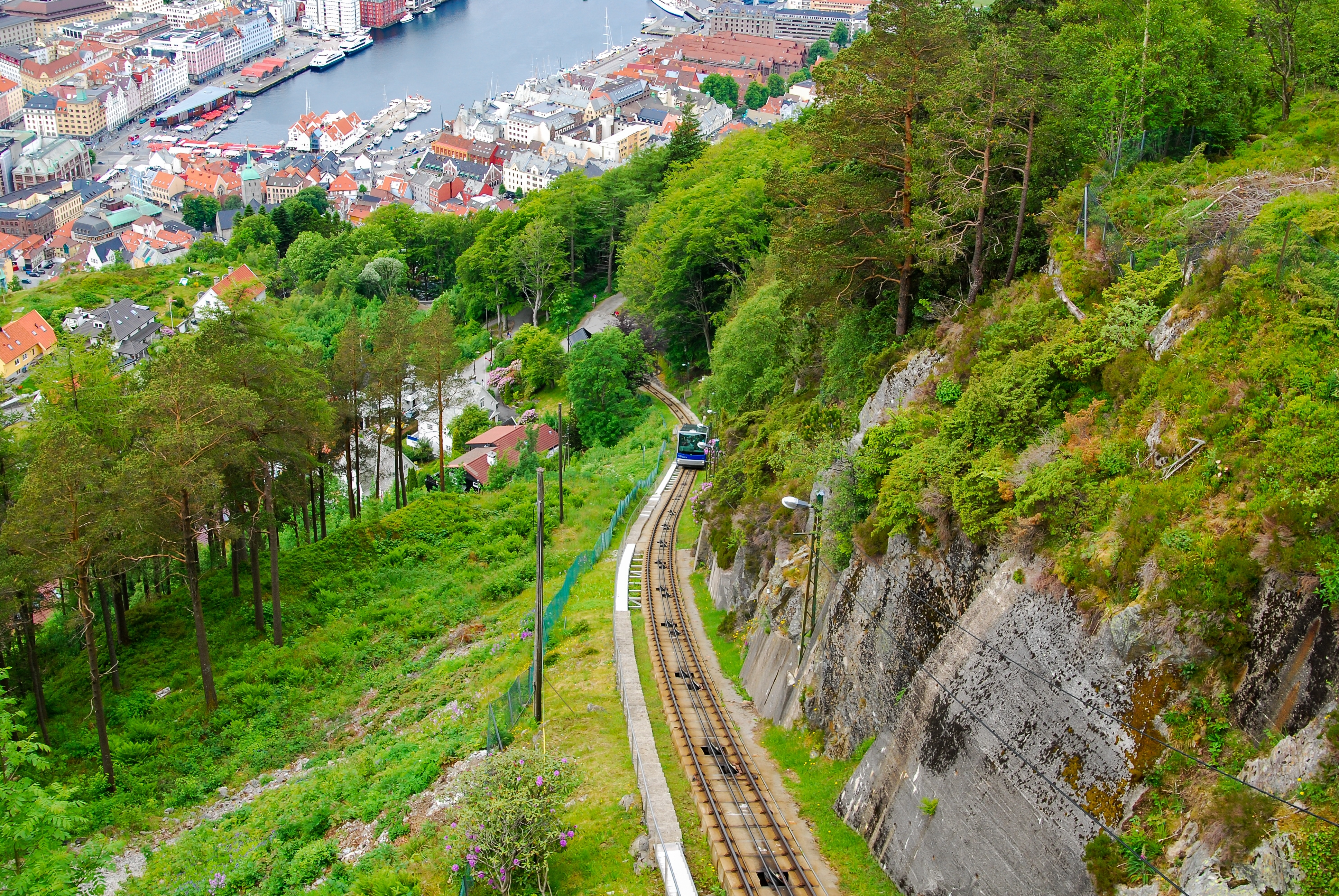 Panoramaudsigt over Bergen fra Fløibanen tandhjulsbane med togbanen der slynger sig ned ad den skovklædte bjergside mod den historiske norske havn