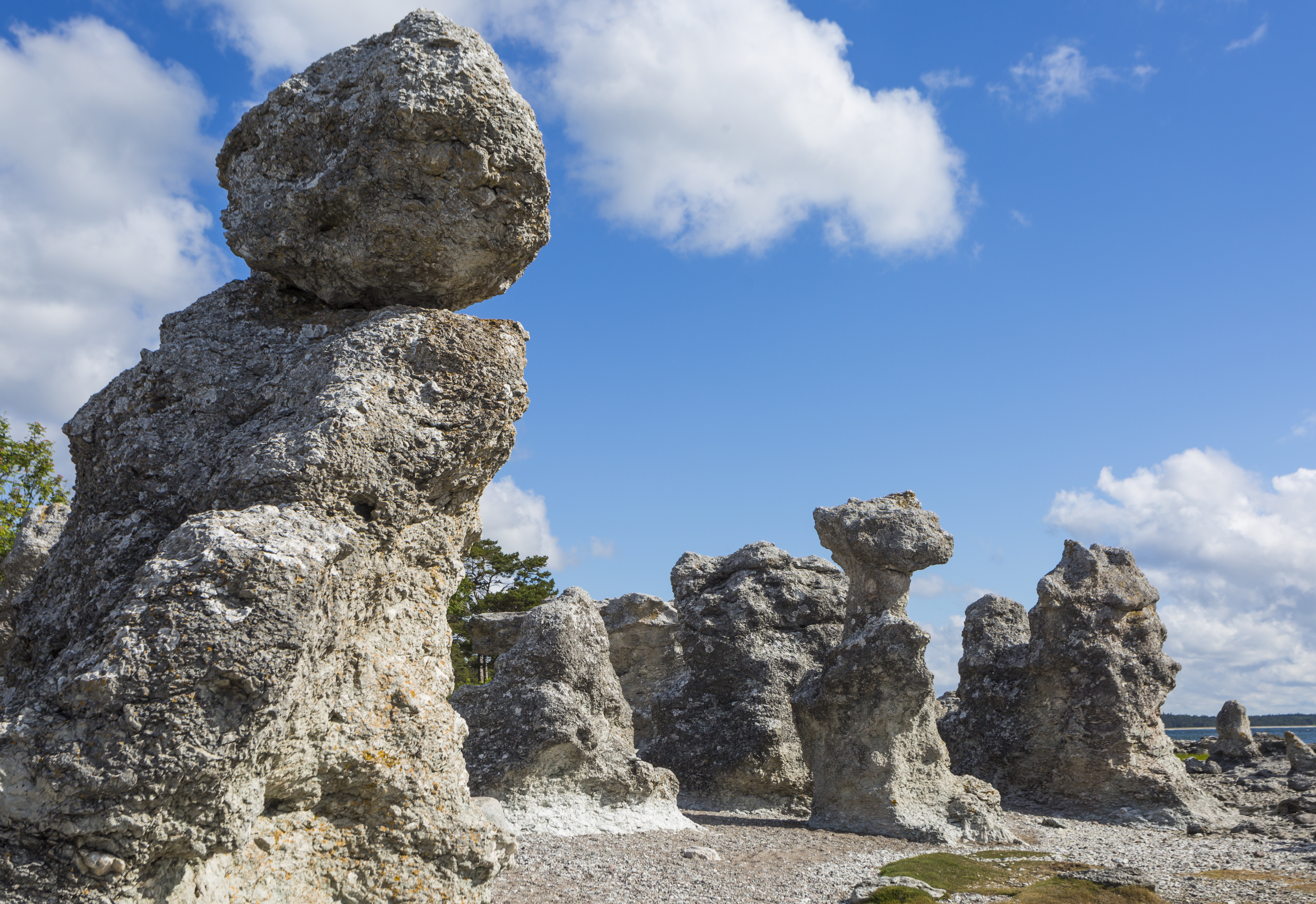 Spektakulære kalkstens-søjler ved Folhammar strand på den svenske ø Gotland