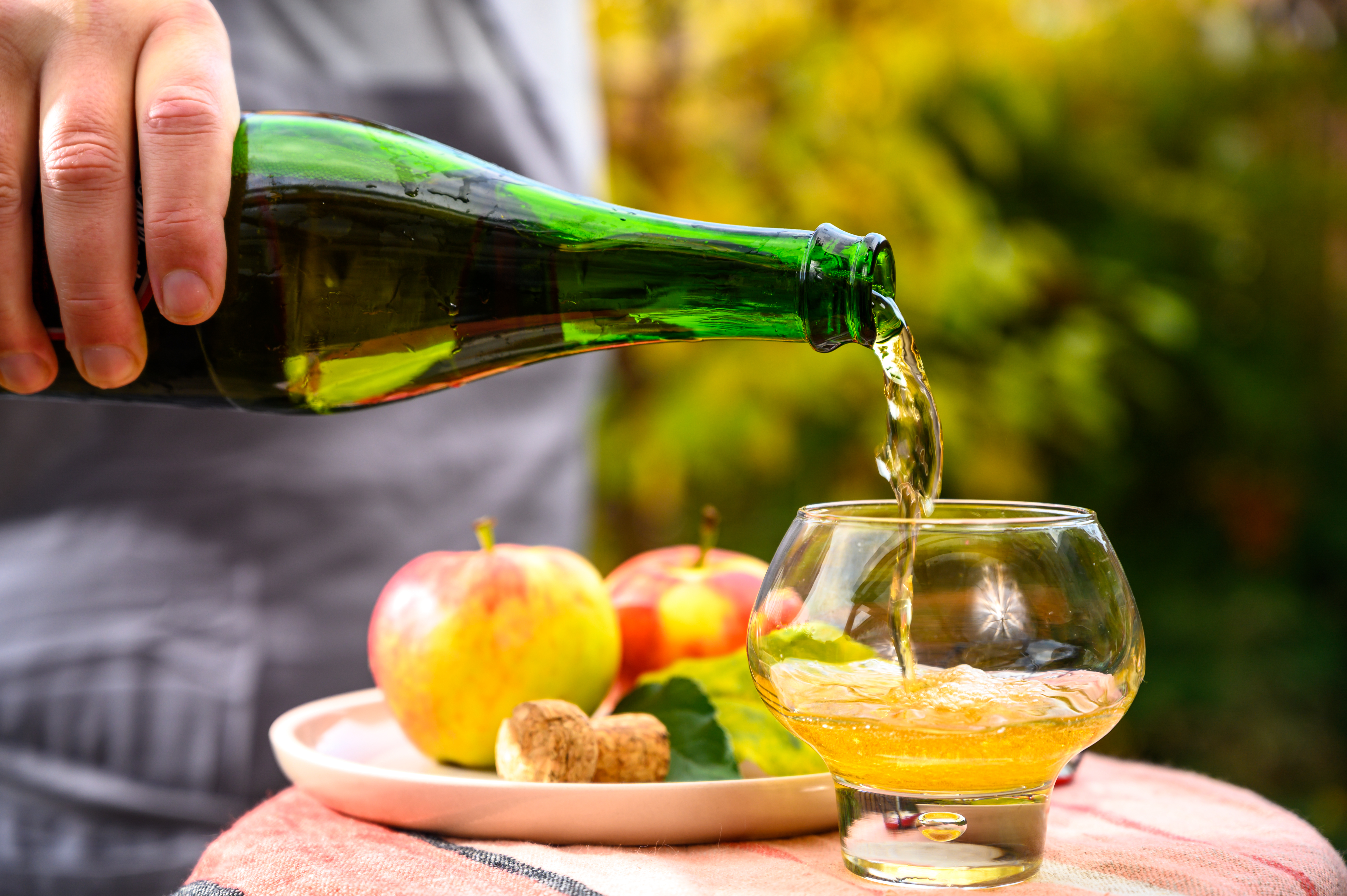 Fransk cider tradition i Normandiet med friske lokale æbler på rejse