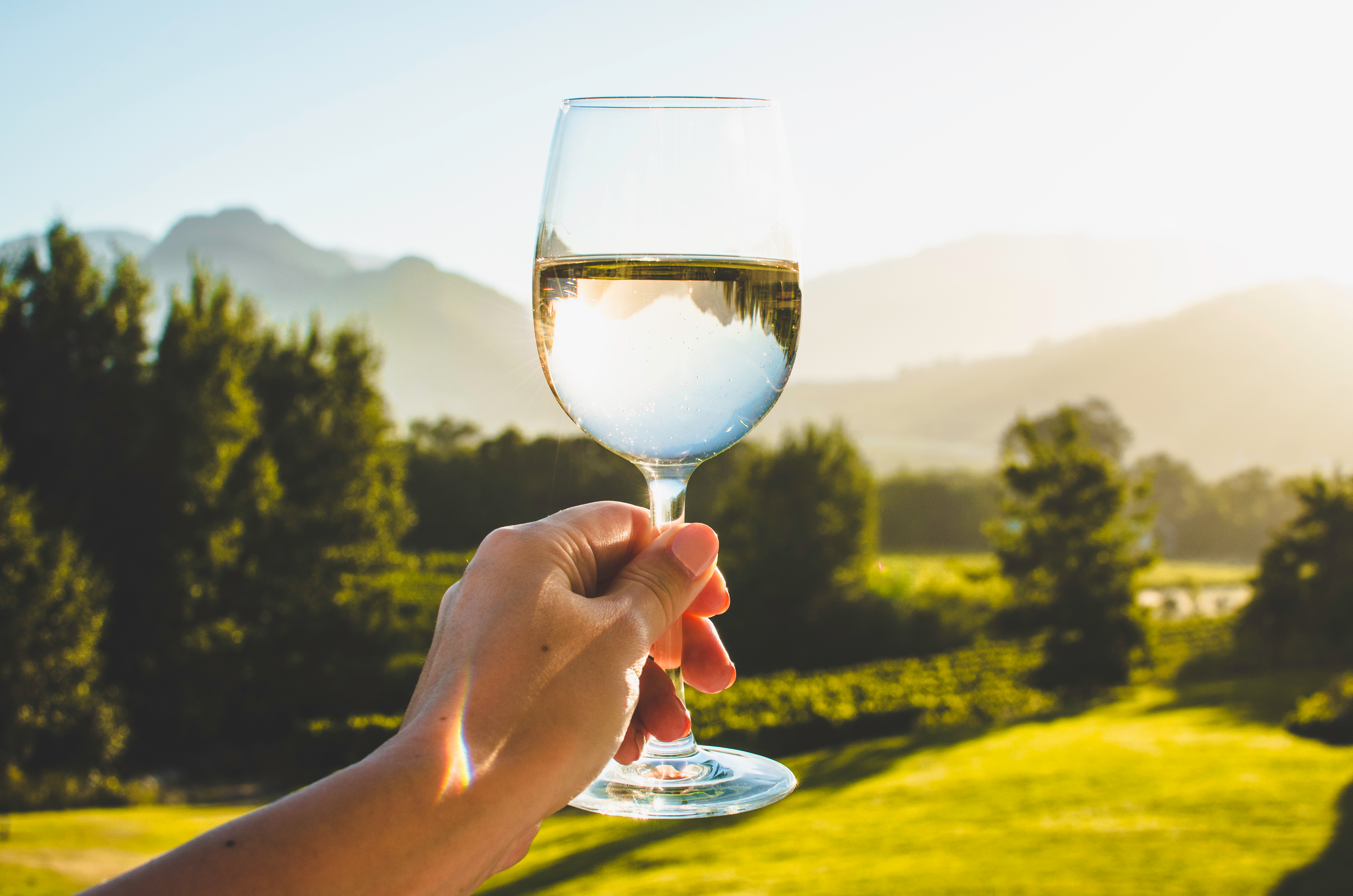 Nyd et glas kølig hvidvin med udsigt til de frodige vinmarker og bjerge i Franschhoek, Sydafrikas berømte vinregion