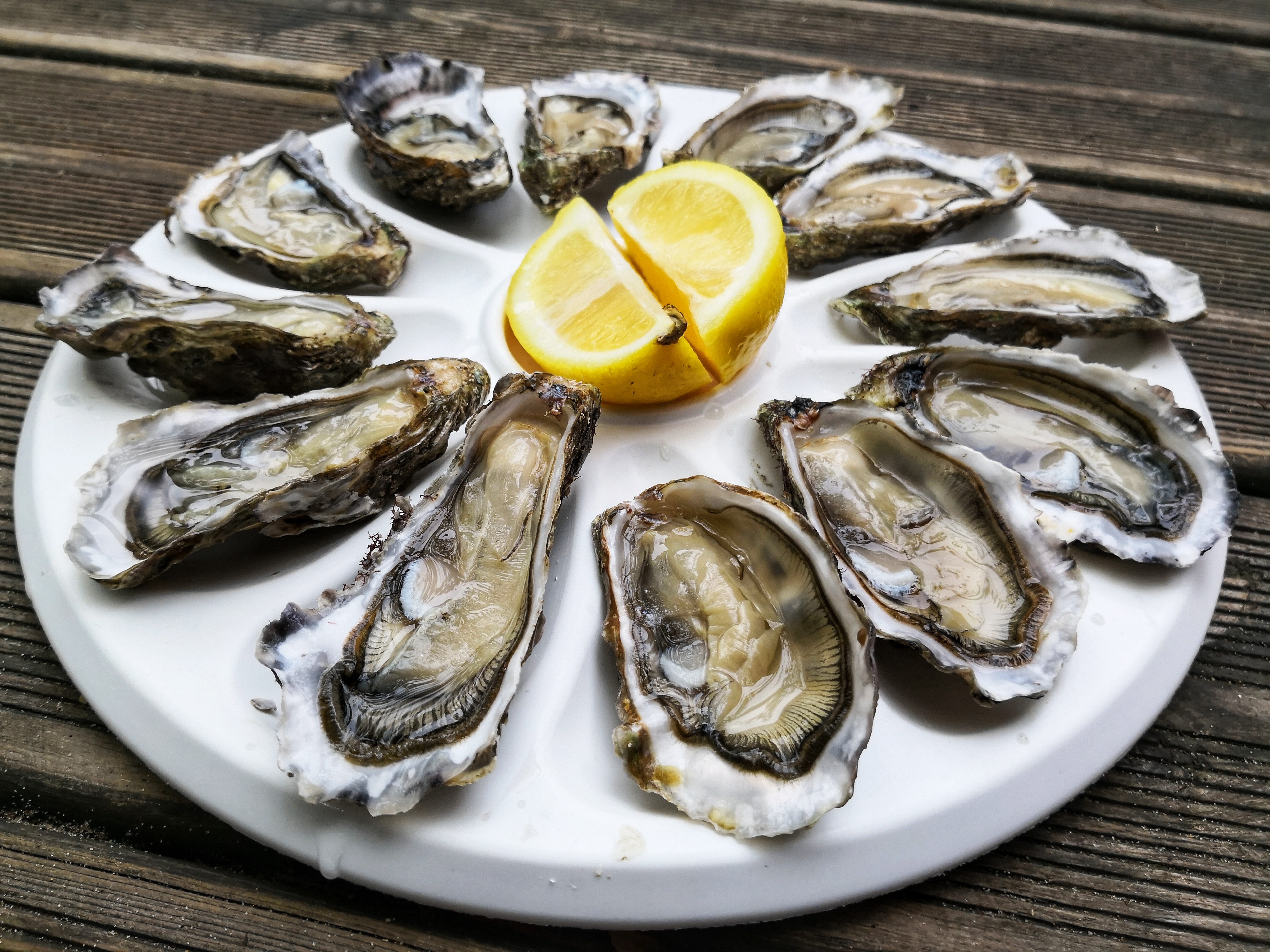 Franske østers elegant serveret med frisk citron