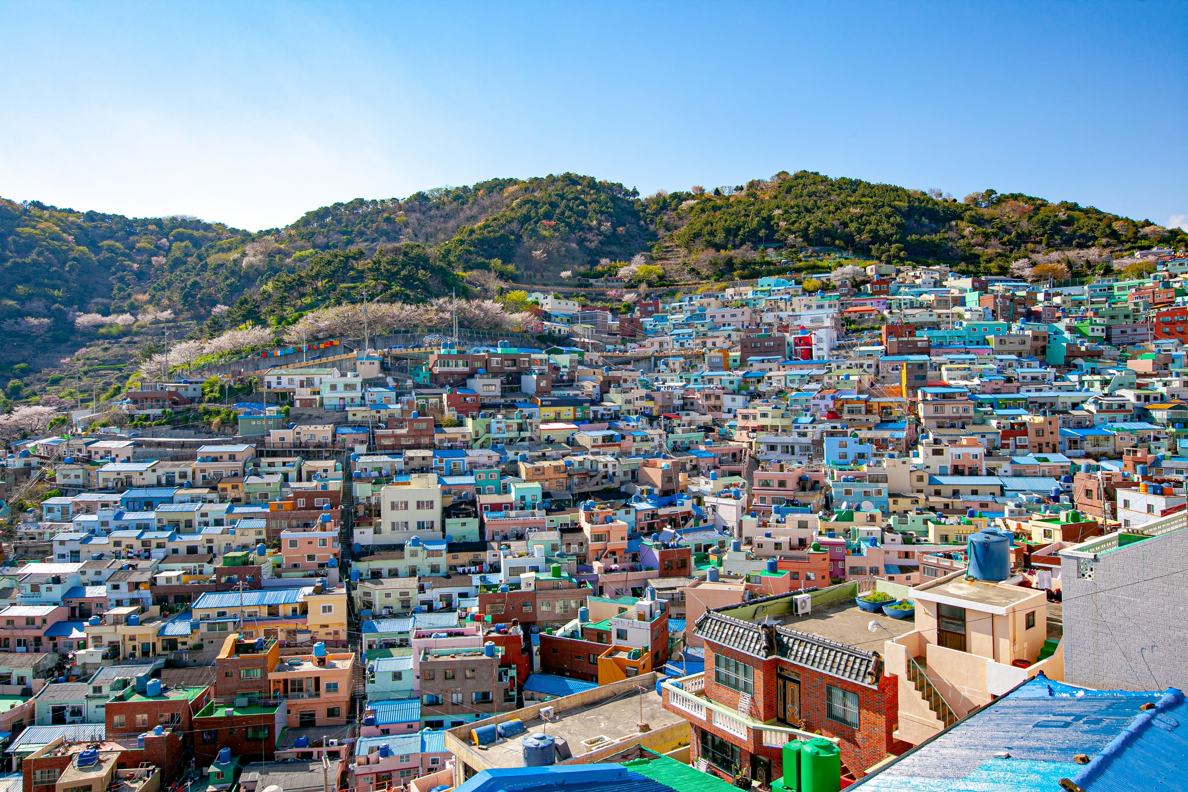 Panoramaudsigt over Gamcheon Culture Village med farverige huse på bakkerne i Busan, Sydkorea