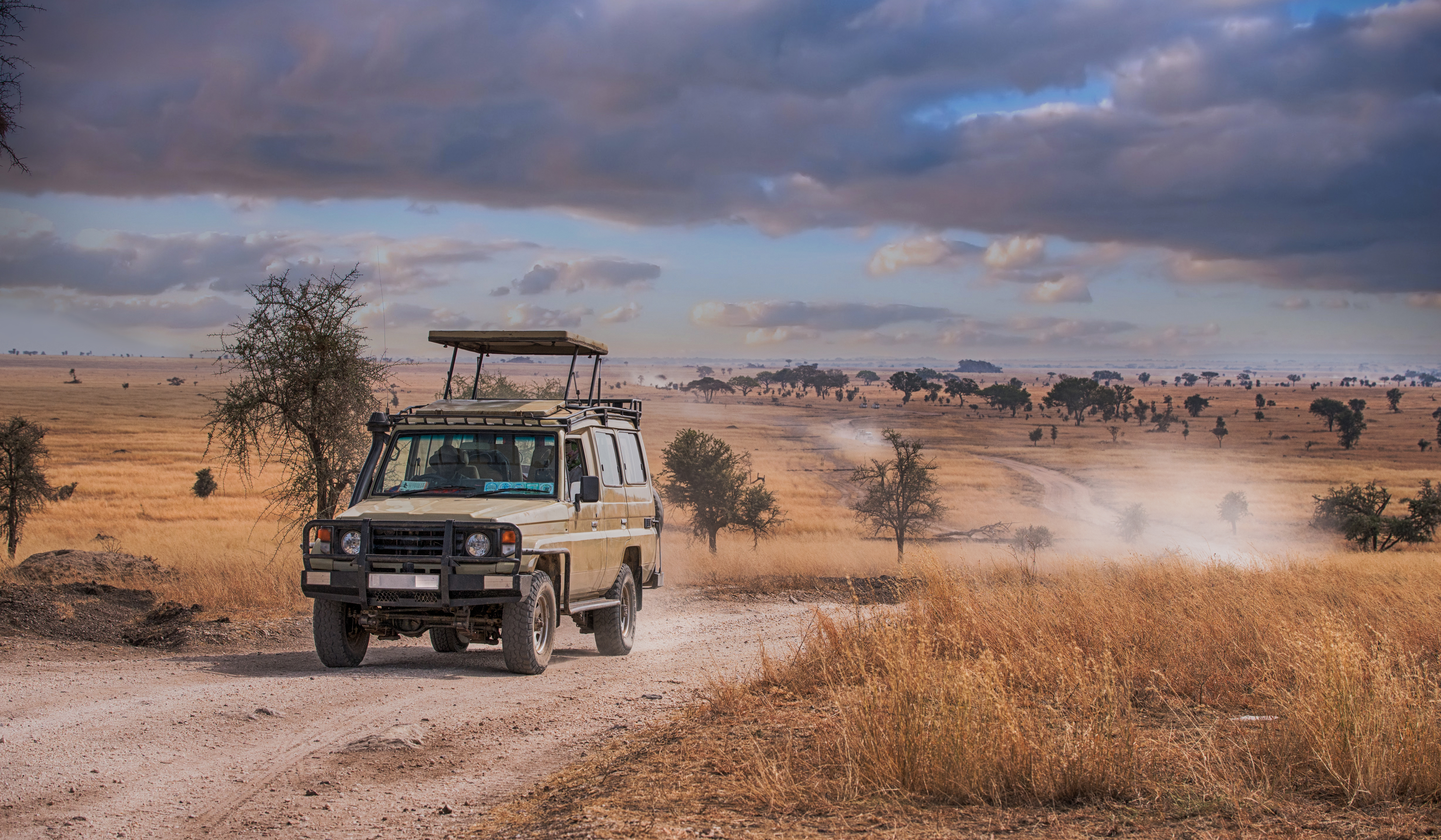 Safari bil på game drive med elefantflok i baggrunden