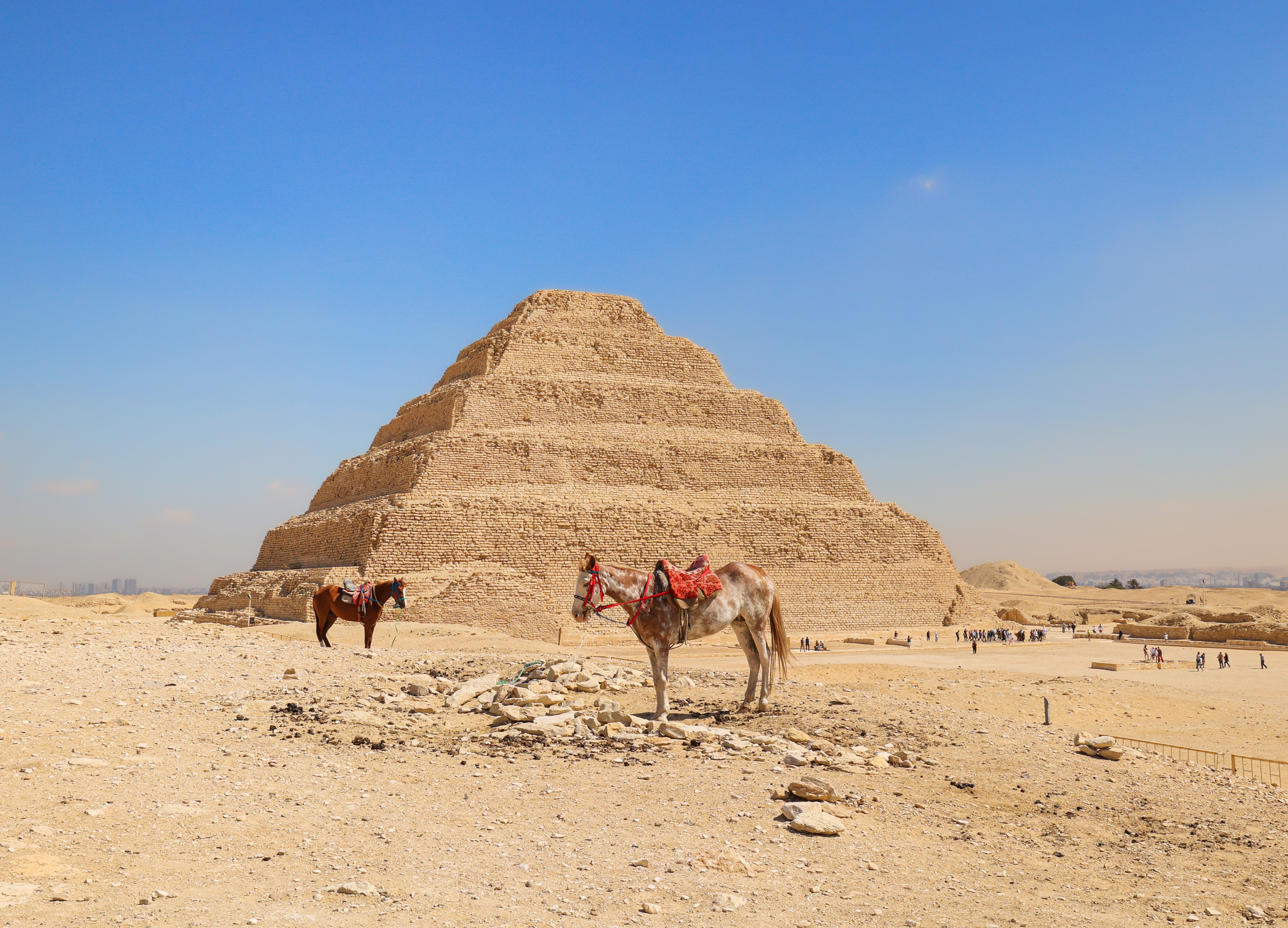 Det gamle Egyptens trinpyramide ved Saqqara i ørkenen med kameler