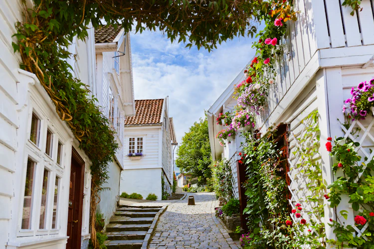 Pittoresk gade i Gamle Stavanger med karakteristiske hvide træhuse og brostensbelægning, hvor blomsterkasser og grønne detaljer skaber en indbydende stemning i det historiske norske kvarter
