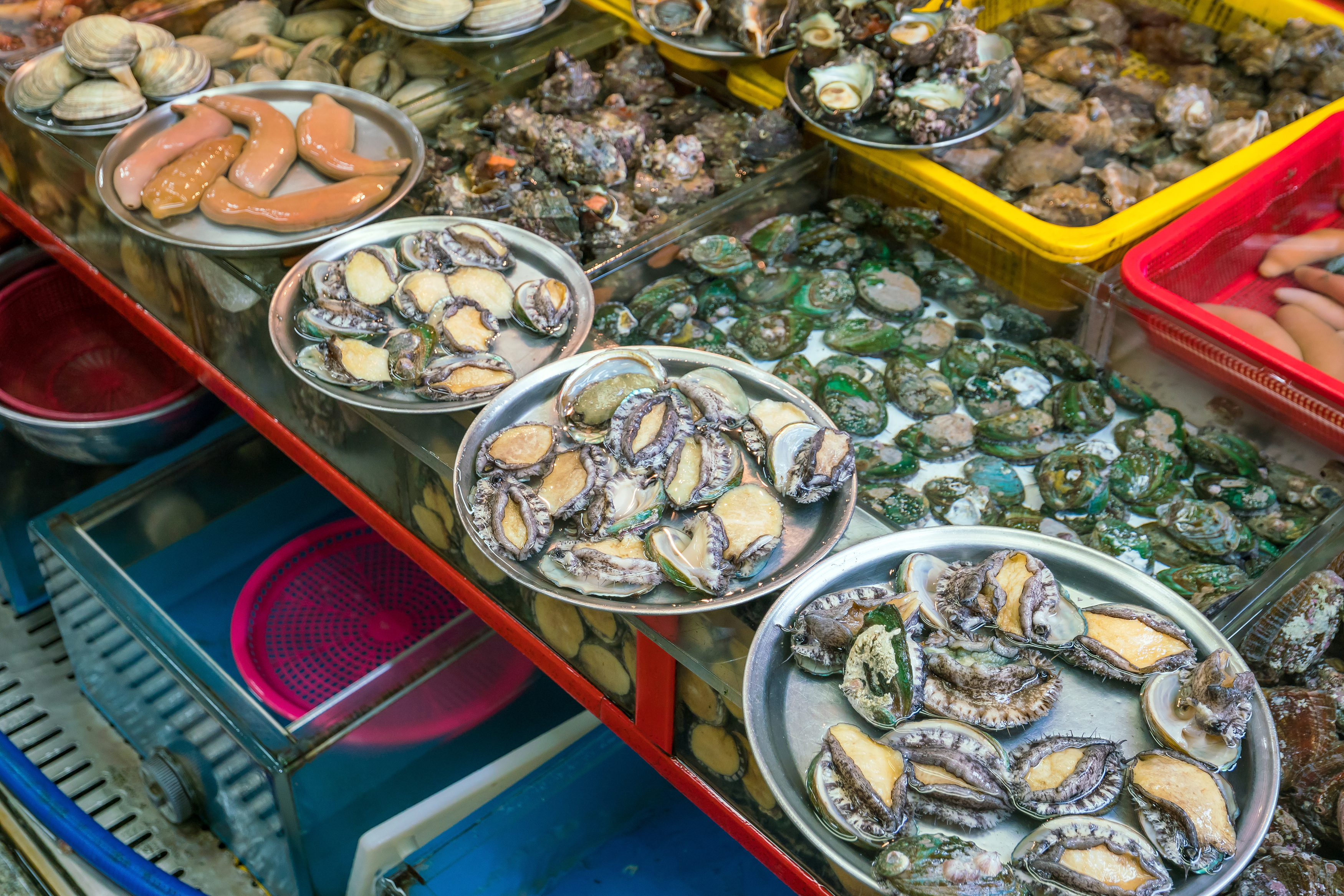 Kulinarisk oplevelse med friske skaldyr og muslinger på det livlige fiskemarked i Busan, Sydkorea