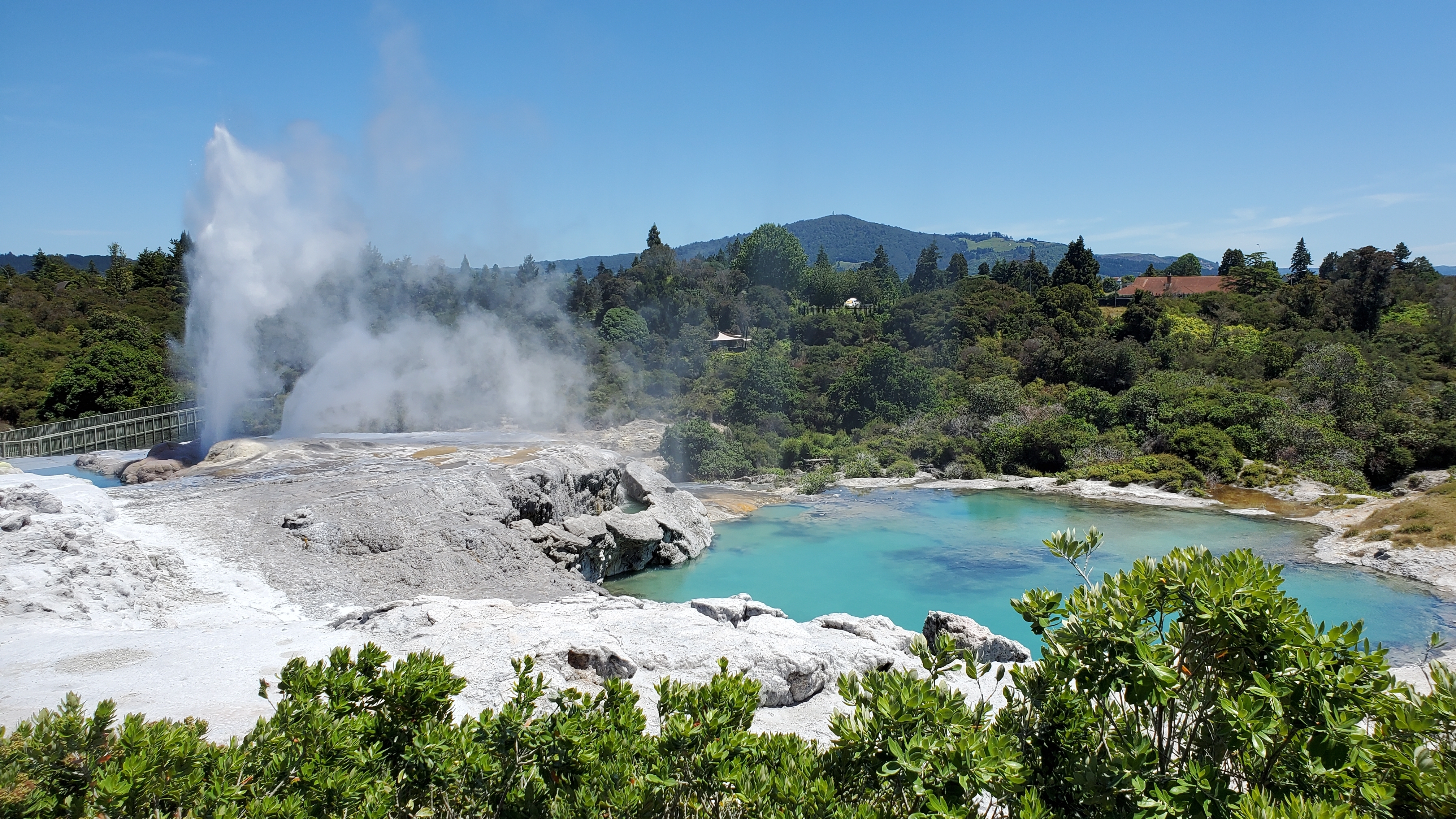 Imponerende geotermisk landskab med dampende gejser og turkise mineralkilder i Rotorua