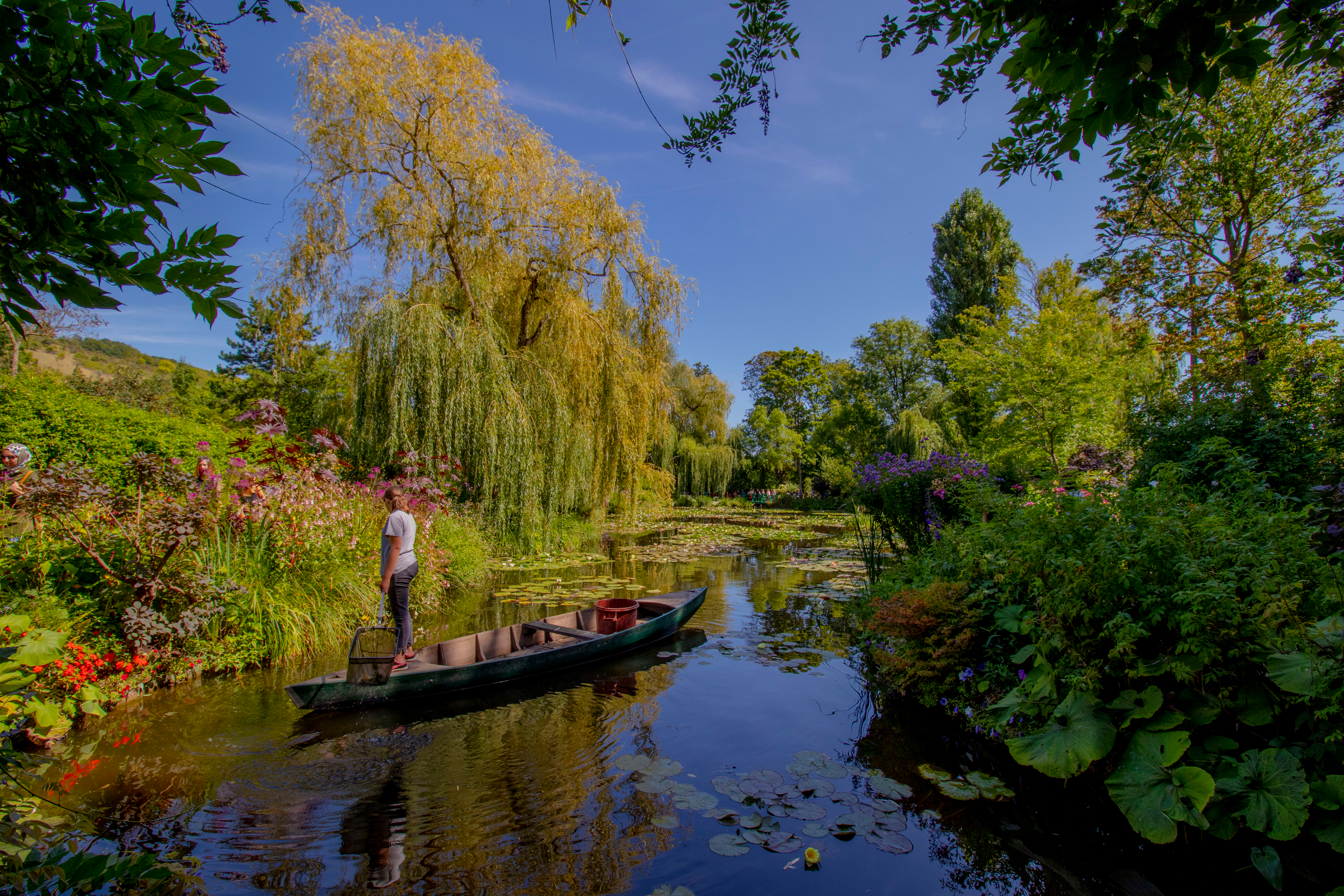 Malerisk udsigt over åkandedammen i Monets have i Giverny med en person på en traditionel robåd, flankeret af hængepiletræer og blomstrende haver under blå himmel