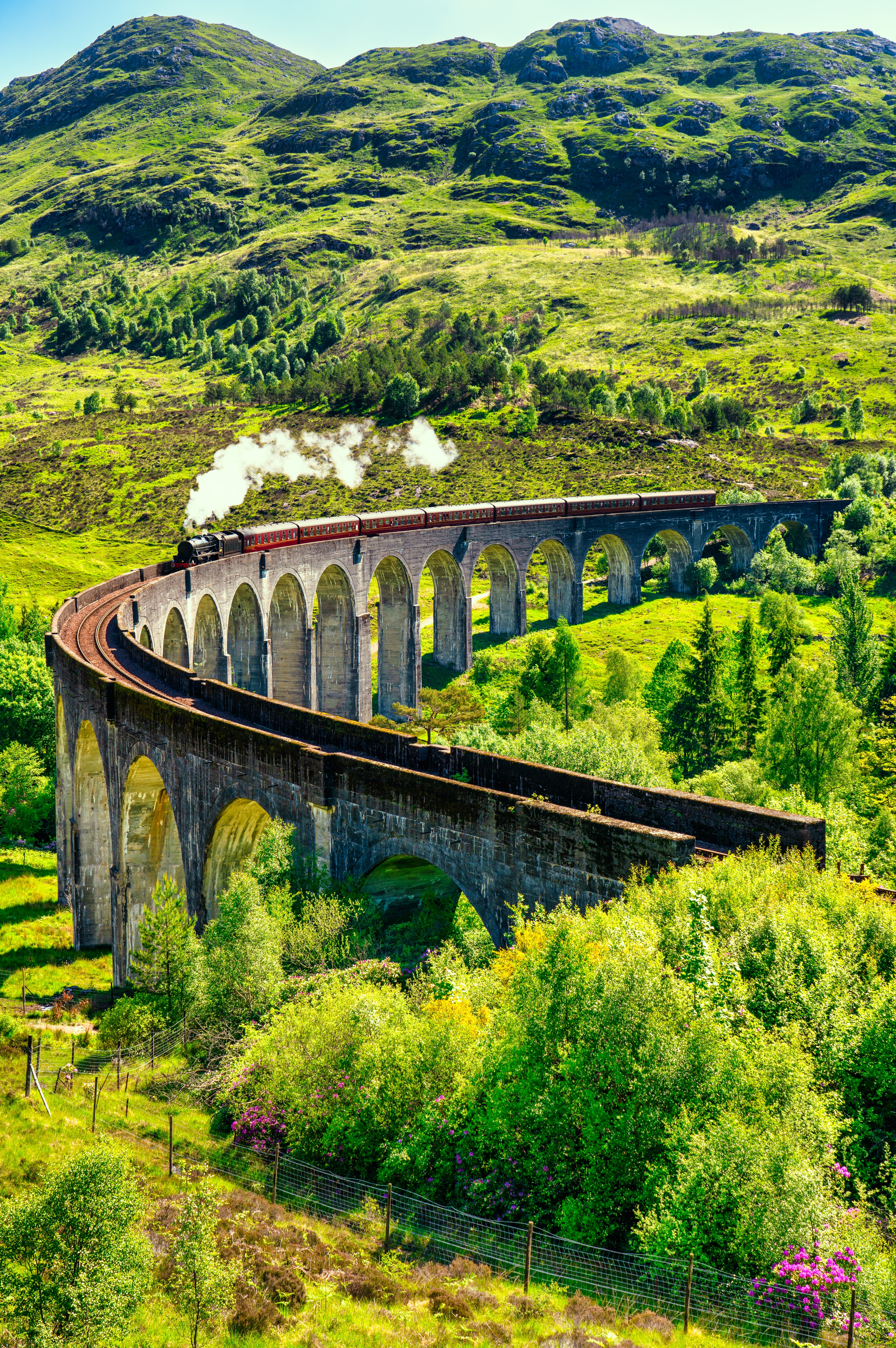 Smuk udsigt over det berømte Glenfinnan-viadukt i Skotland hvor et damptog krydser den historiske stenviadukt i sommergrønne omgivelser