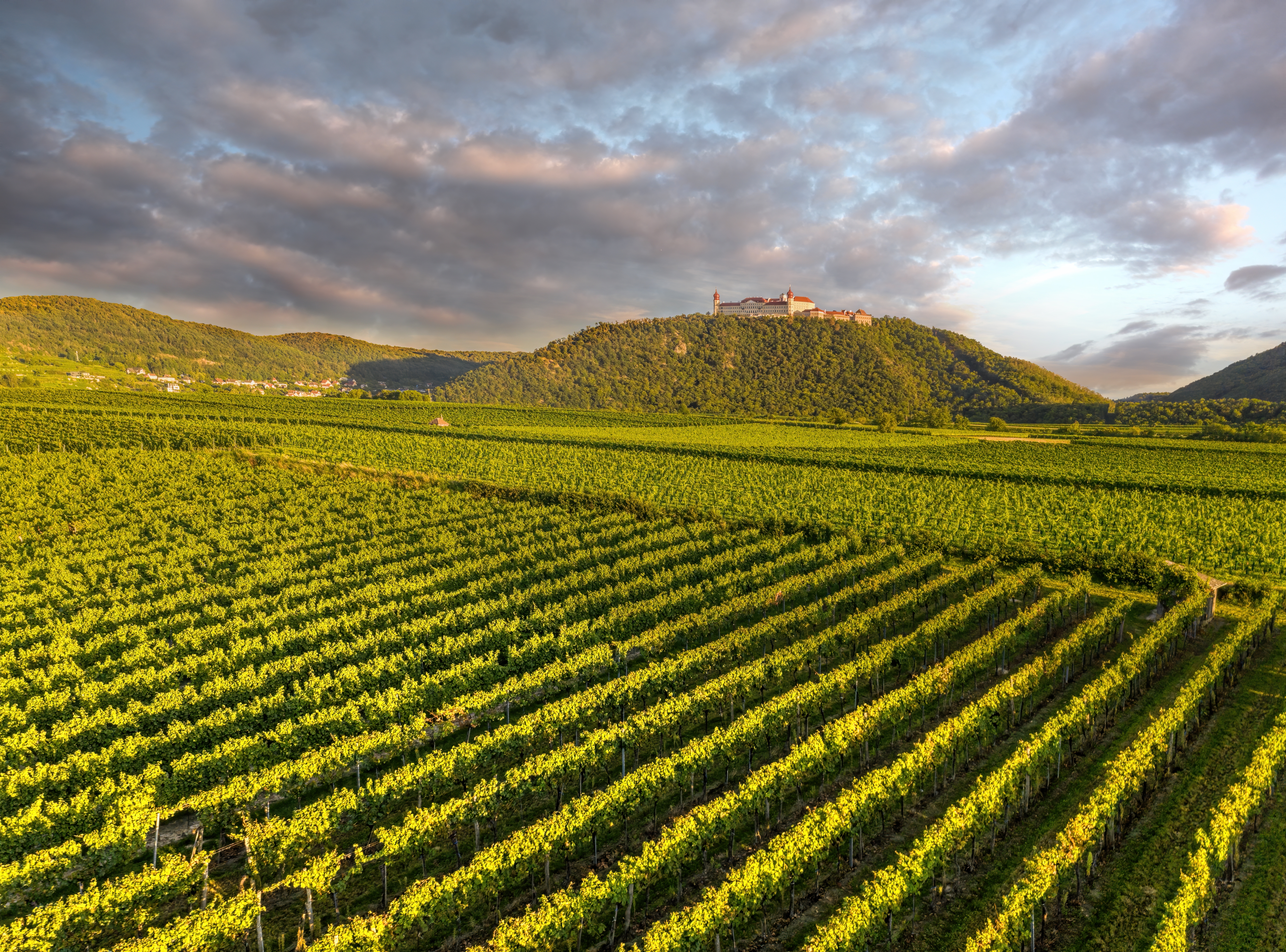 Panoramaudsigt over de grønne vinmarker i Wachau med Göttweig Kloster på bakketoppen i skønne Nedre Østrig