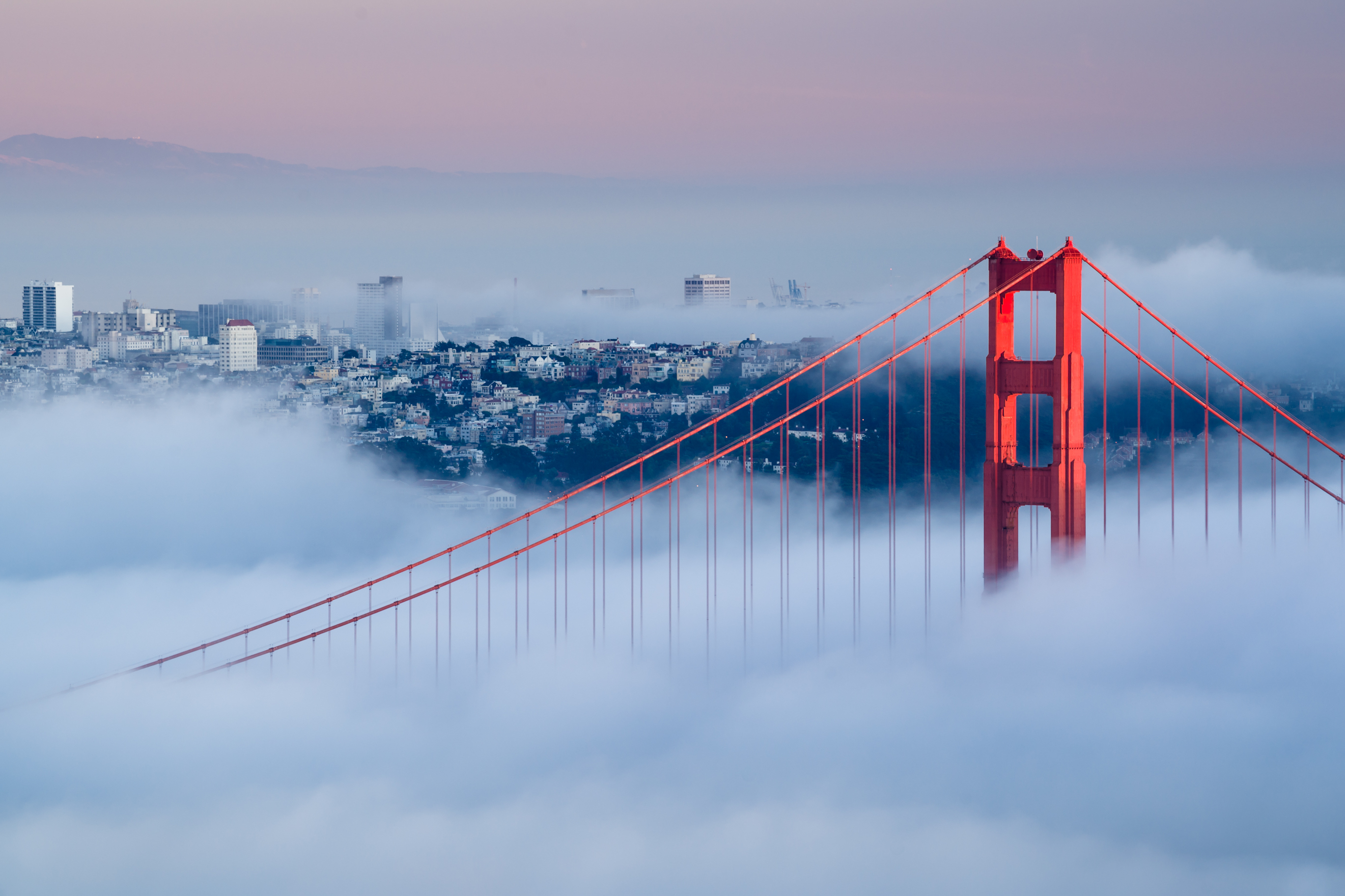 Røde Golden Gate Bridge tårne rager op gennem hvid morgentåge