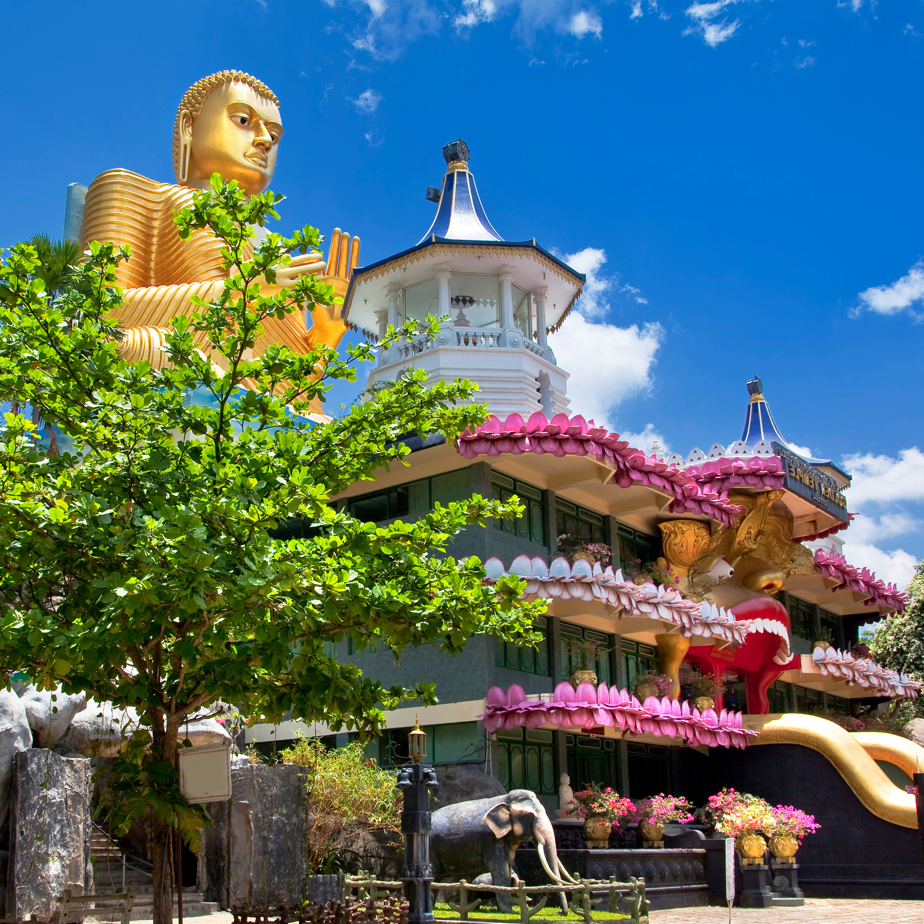 UNESCO verdensarv buddhistisk tempel med golden Buddha statue i Sri Lanka