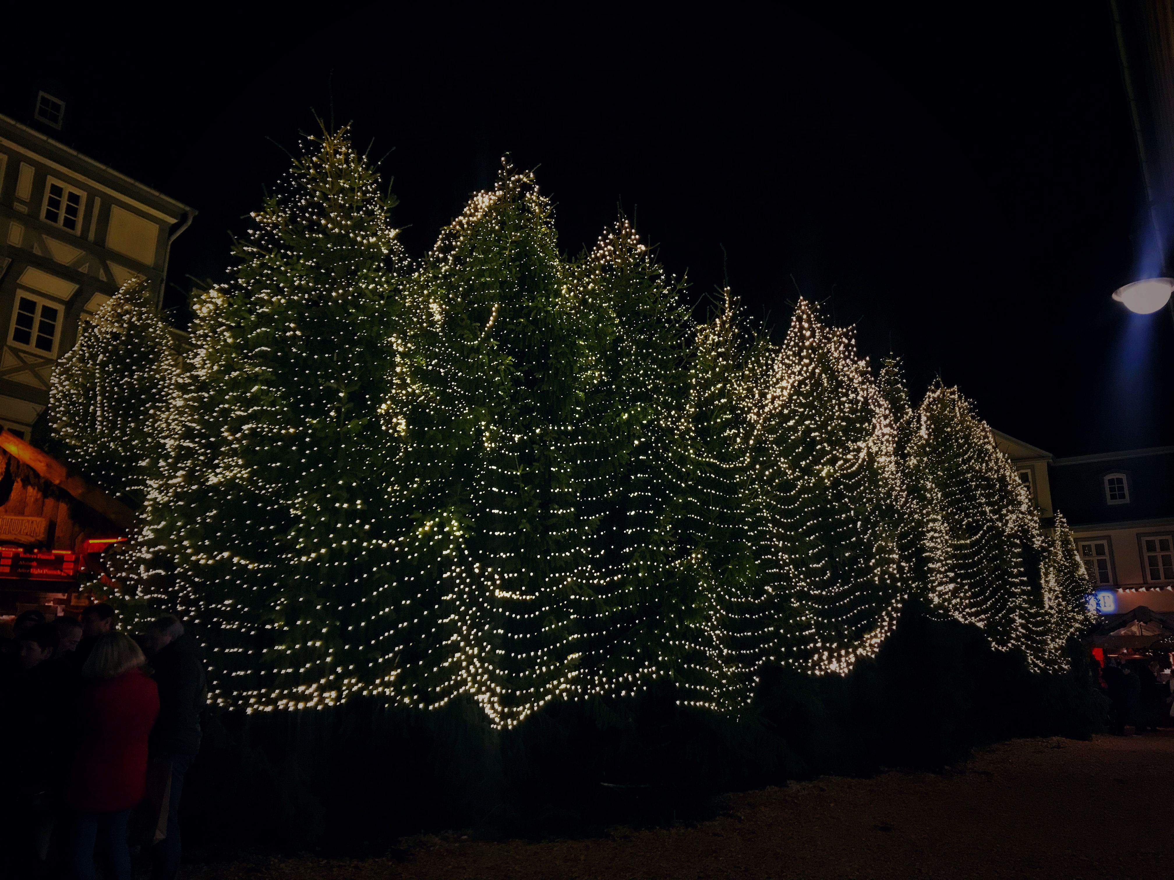 Storslåede juletræer med tusindvis af glimtende hvide lys på julemarkedet i Goslar i Harzen, Tyskland