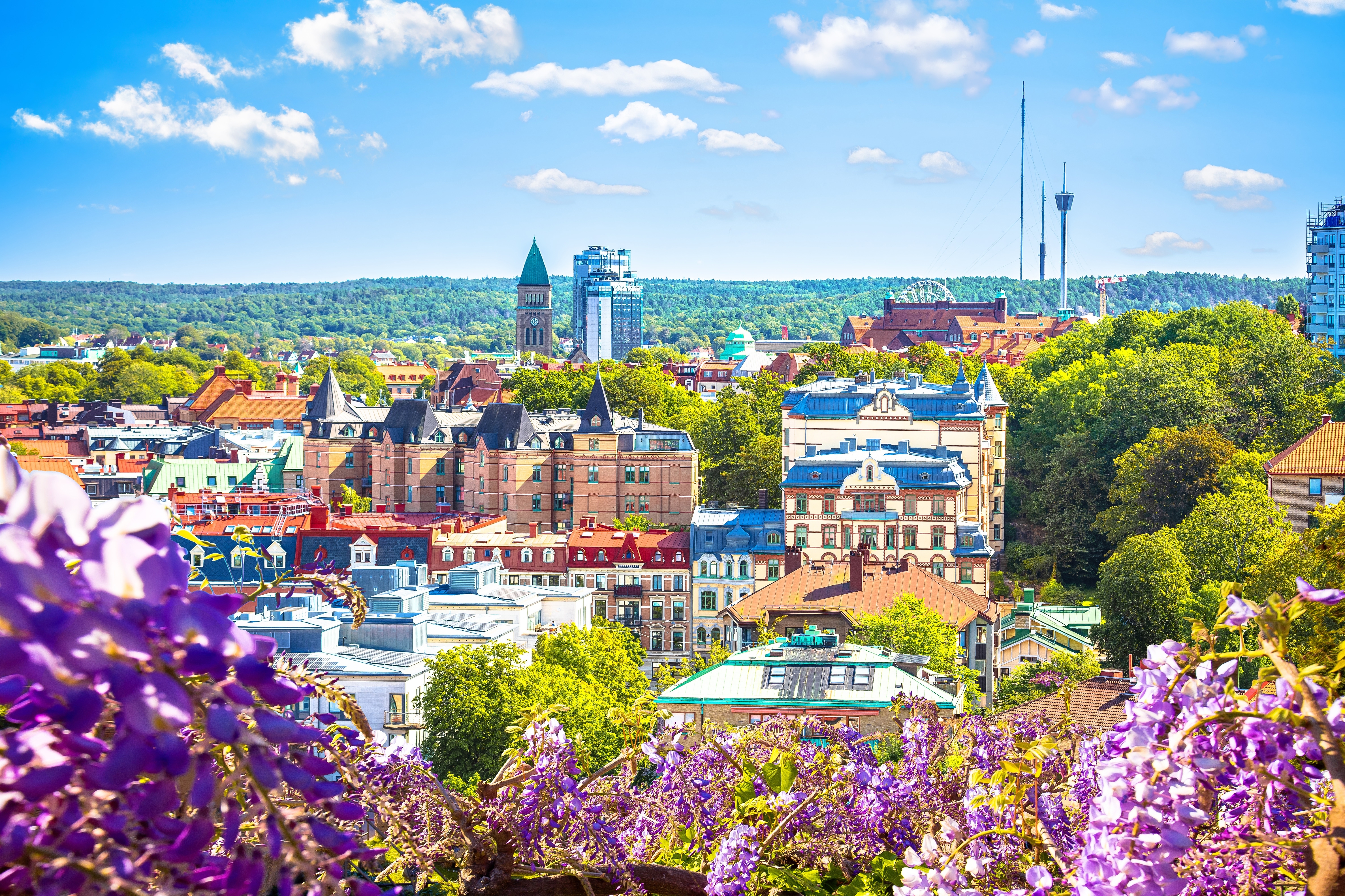Imponerende udsigt over Göteborgs historiske tage og arkitektur med lilla blomster i forgrunden og blå himmel over Sverige
