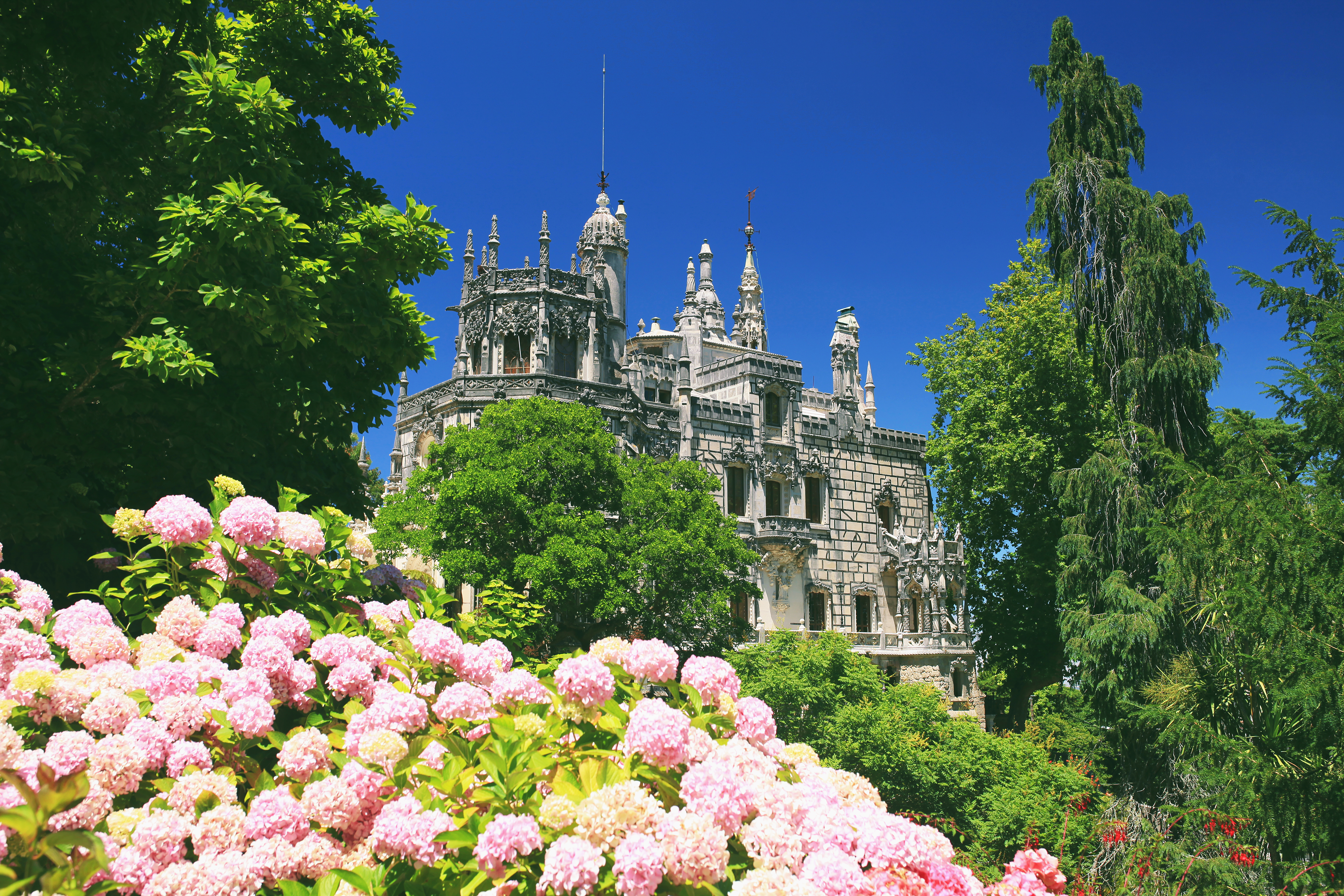 Imponerende gotisk slot med dekorativ arkitektur i blomstrende parkanlæg, Sintra