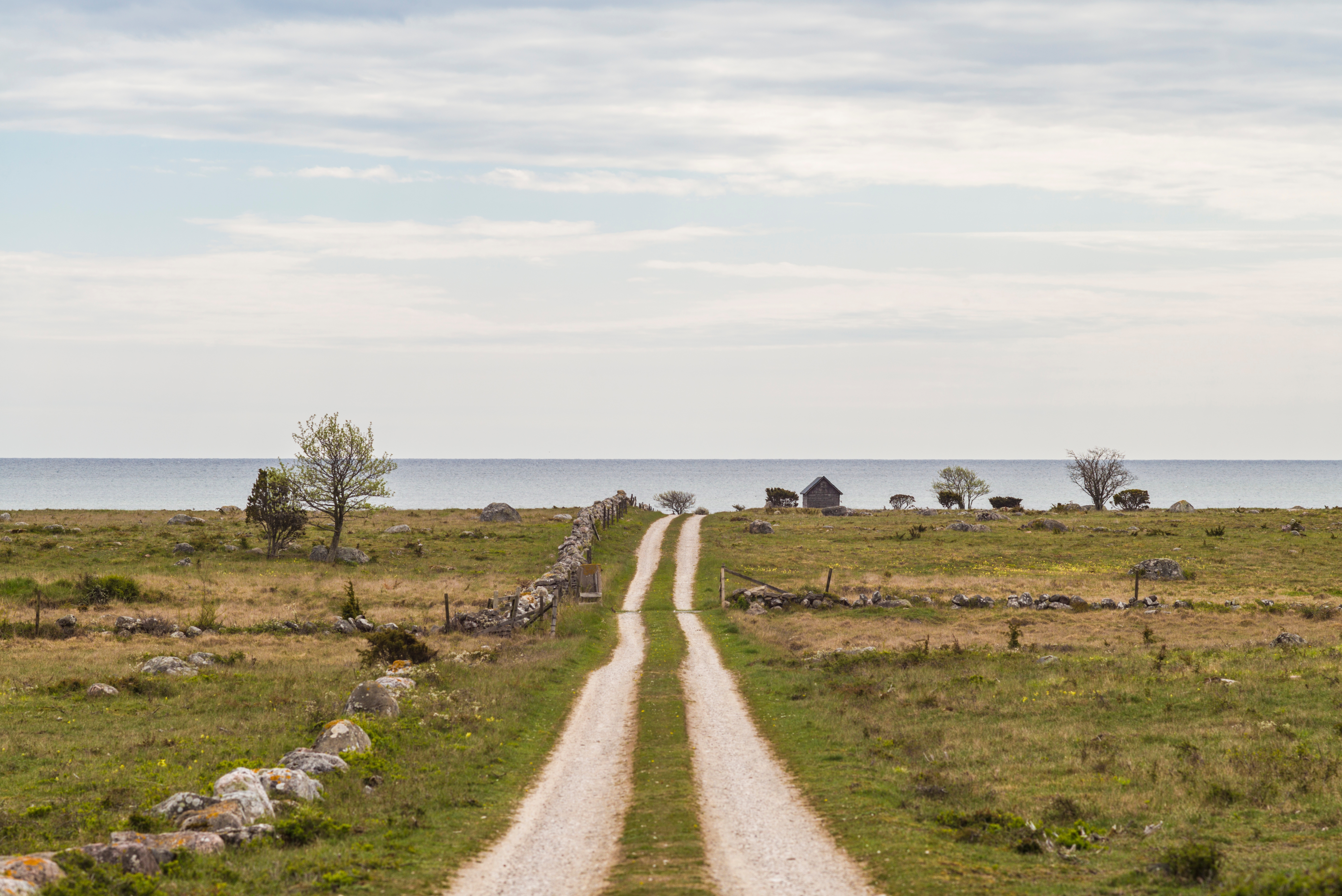 Charmerende bygdevej på Gotland med traditionelle stenmure og udsigt til Østersøen