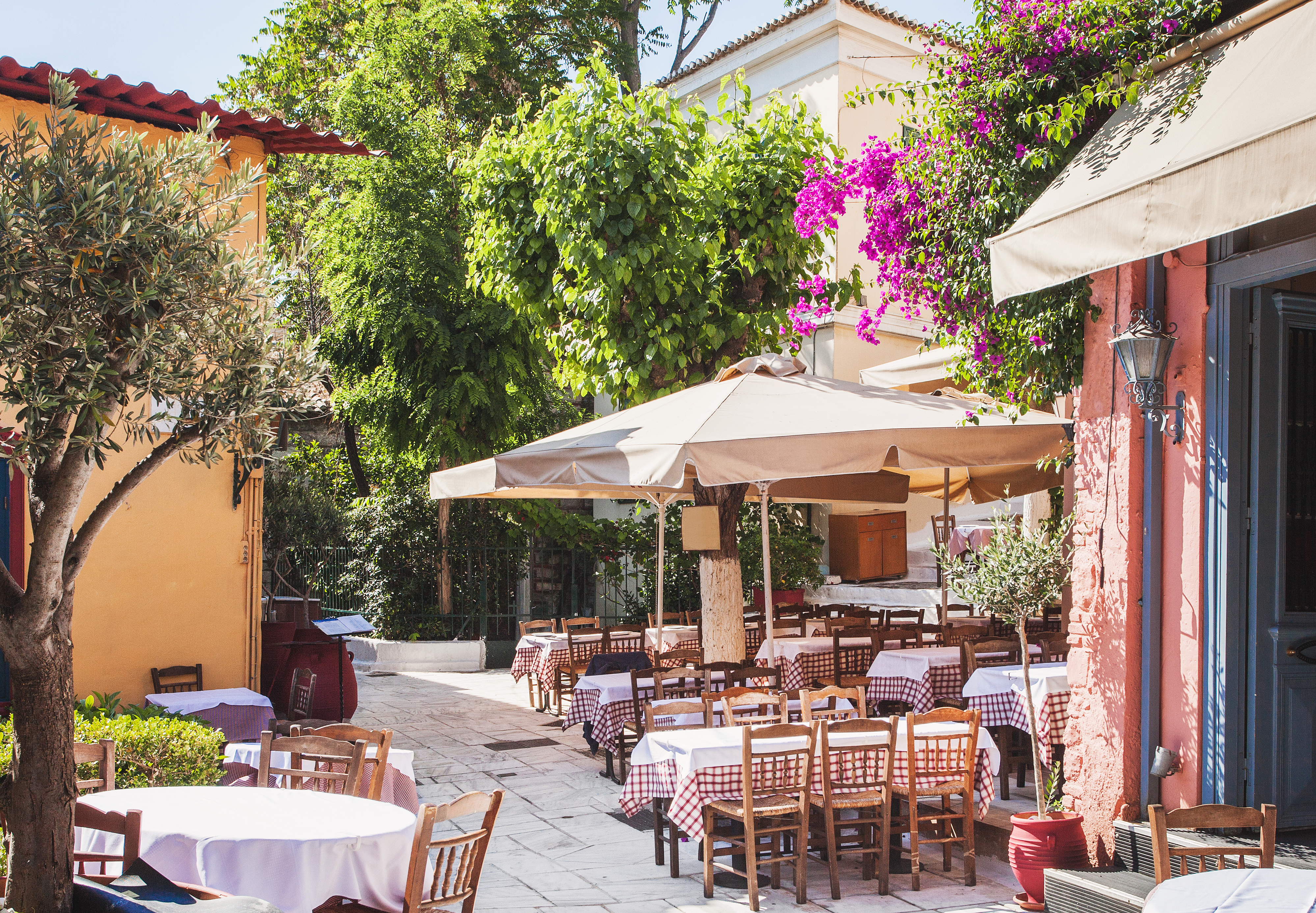 Autentisk græsk restaurant i Plaka i Athen med traditionelle røde ternet duge og frodig bougainvillea i sommersolen