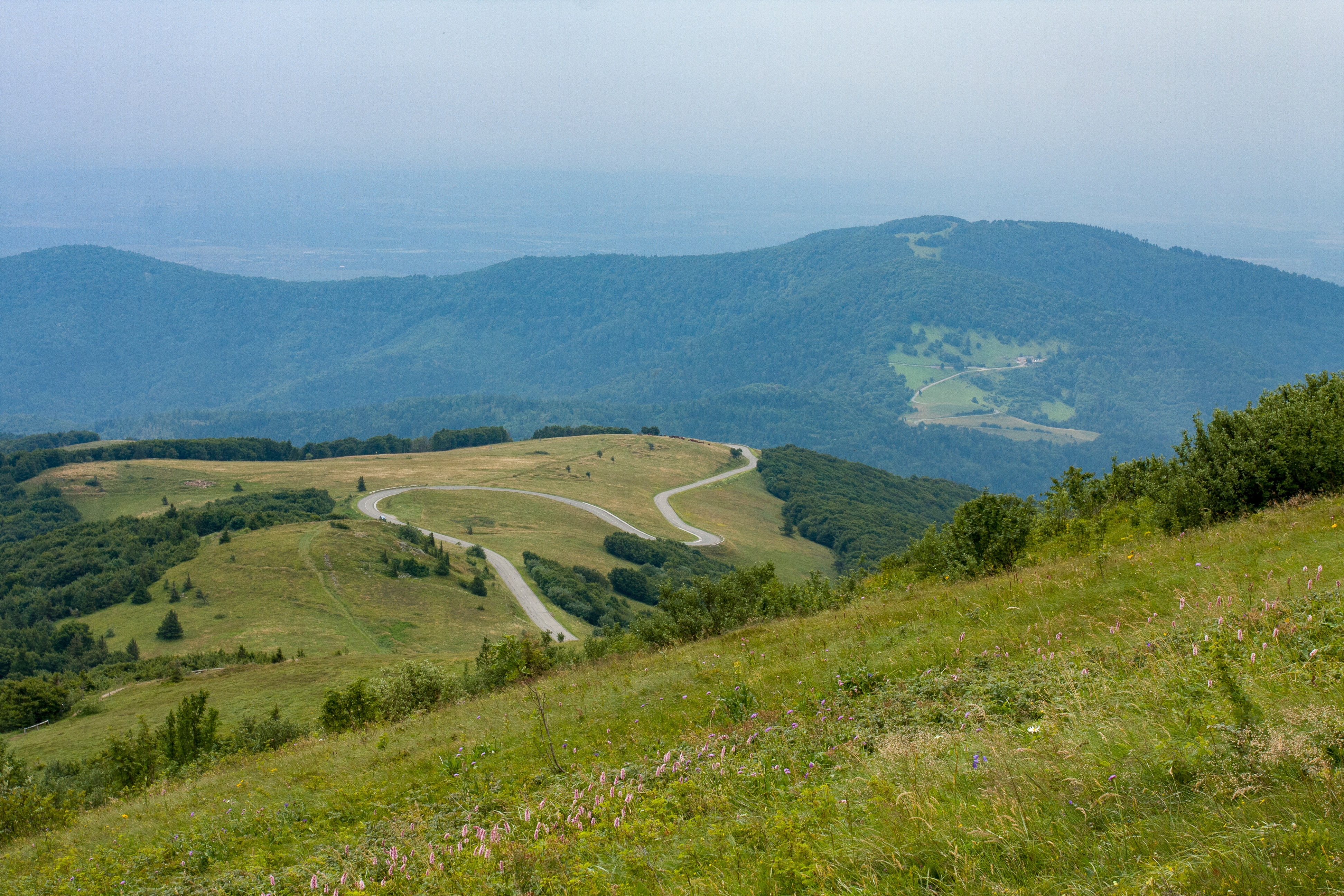 Naturskøn udsigt fra toppen af Grand Ballon i Vogeserne med snoet bjergvej, grønne enge og tågedækket dal i Alsace, Frankrig