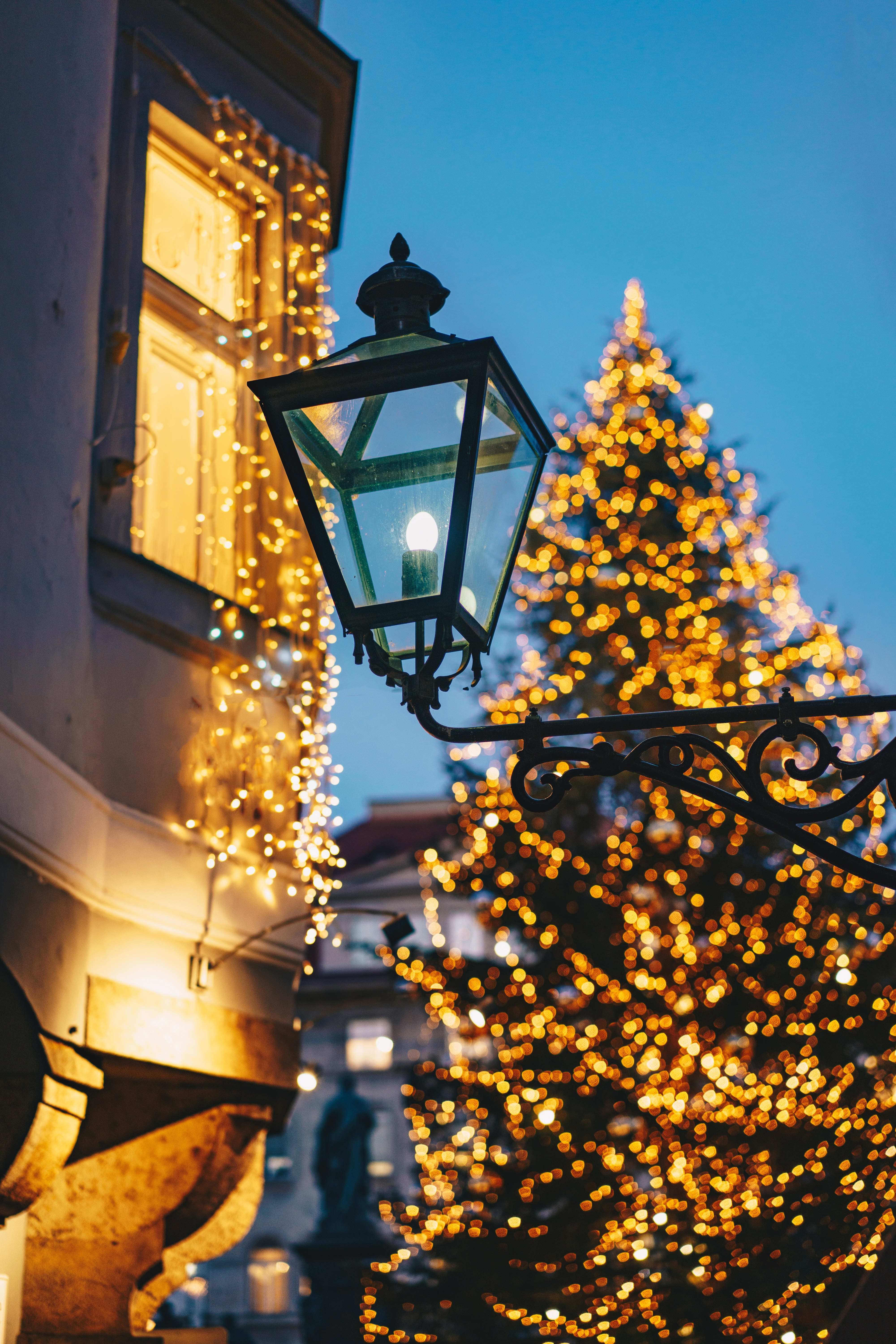 Festligt oplyst juletræ på det centrale julemarked i Graz med det smukke rådhus i baggrunden - oplev ægte østrigsk julenostalgi og adventshygge på Nille Rejsers julerejser