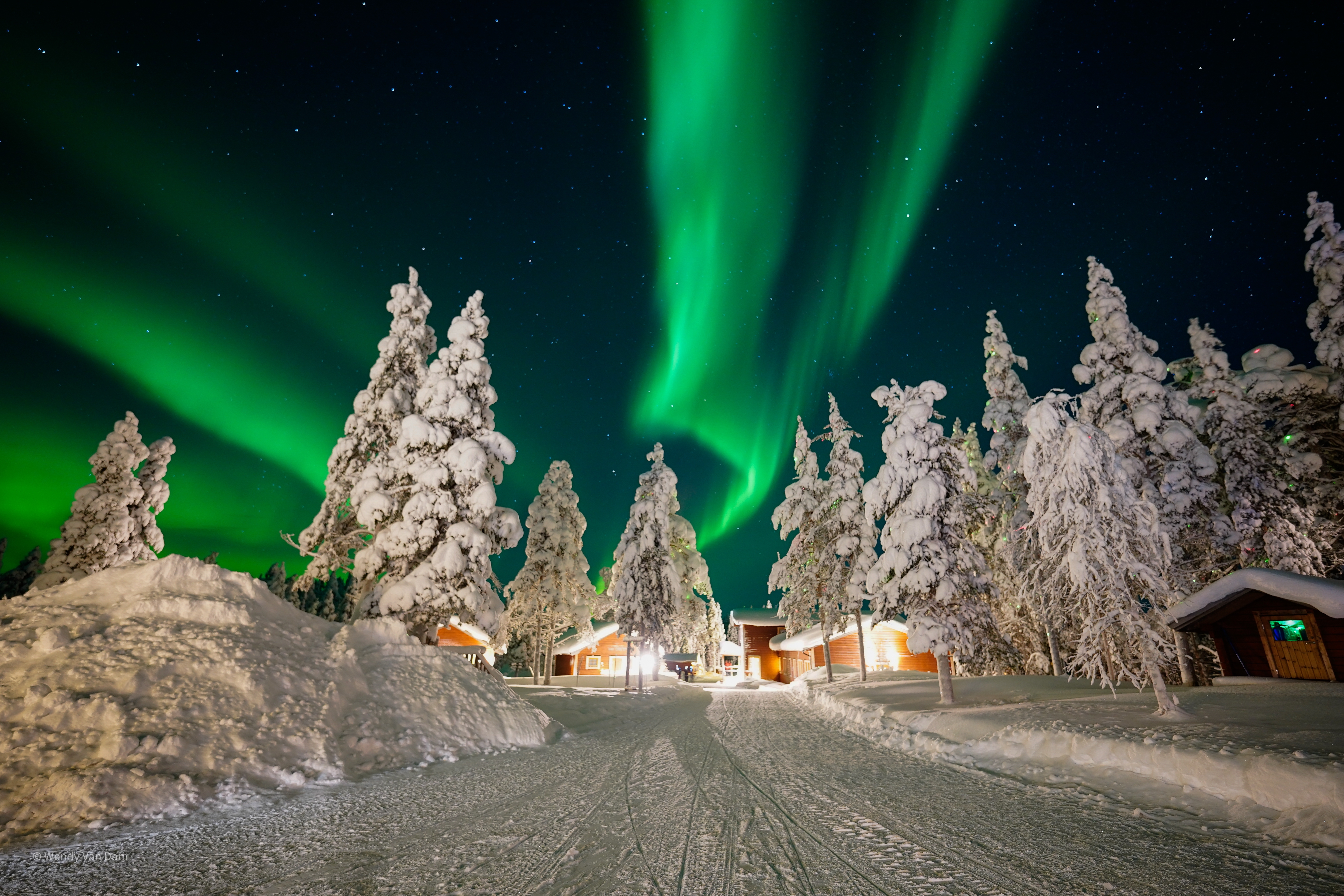 Smukke grønne nordlys strækker sig hen over den stjerneklare himmel over snedækkede træer og varme hytter i Lapland