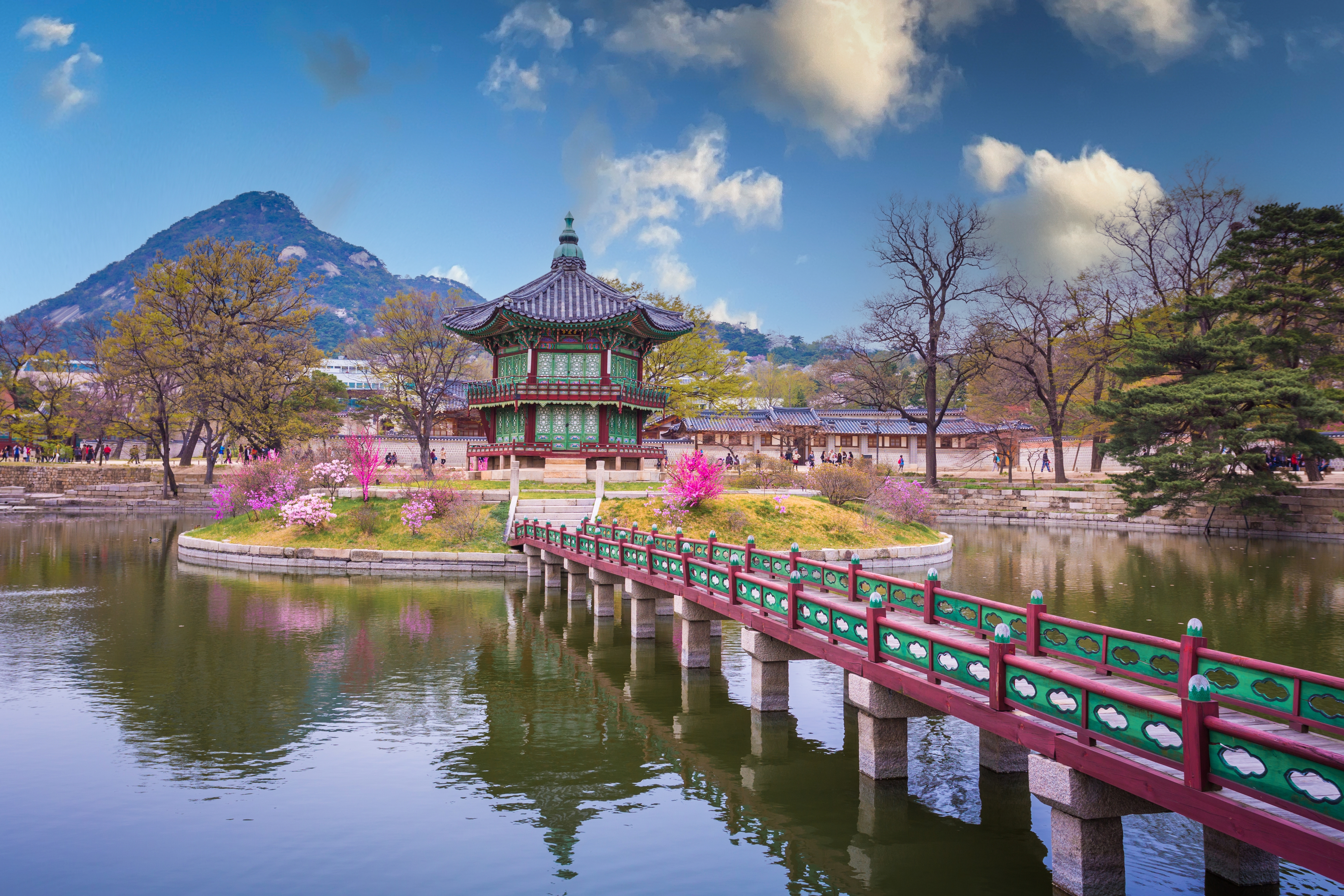 Det majestætiske Gyeongbokgung-palads med smukke lyserøde kirsebærblomster - oplev mødet mellem natur og historie i Sydkoreas hovedstad Seoul