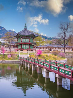 Det majestætiske Gyeongbokgung-palads med smukke lyserøde kirsebærblomster - oplev mødet mellem natur og historie i Sydkoreas hovedstad Seoul