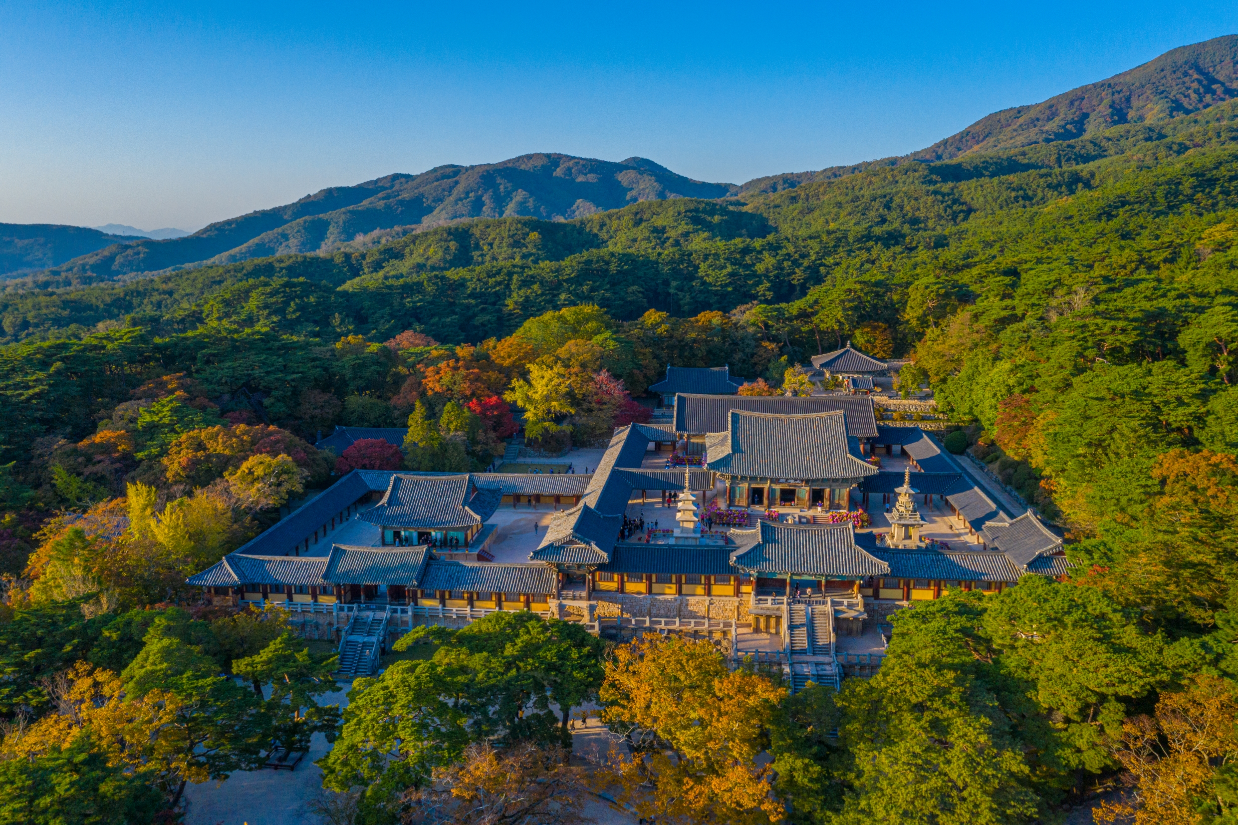 Luftfoto af Bulguksa tempelkomplekset med pagoder og traditionelle koreanske bygninger omgivet af efterårsskov i Gyeongju