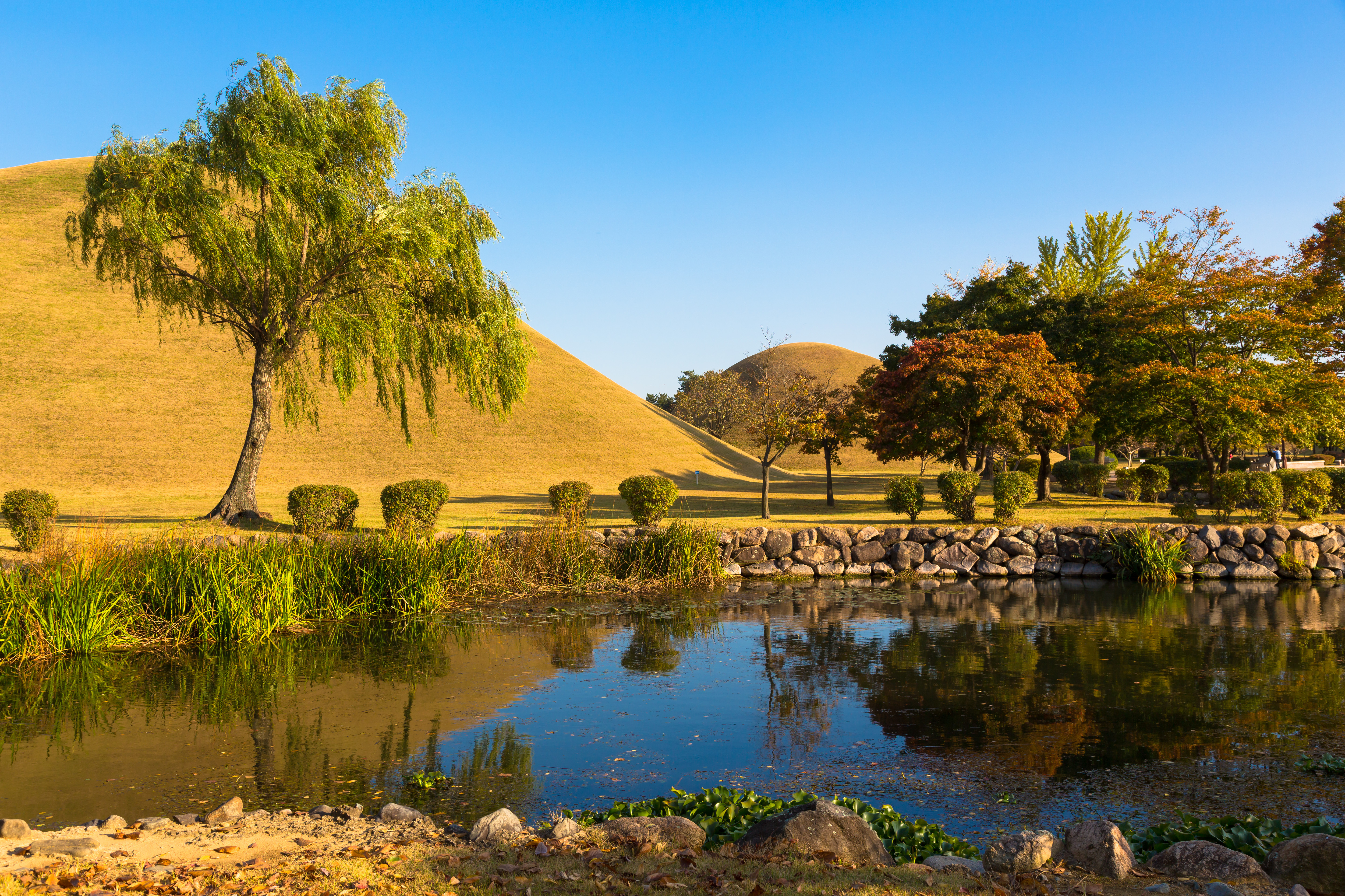 Smuk sø ved de grønne gravhøje i Tumuli Park, et UNESCO verdensarvsområde i Gyeongju, Sydkorea