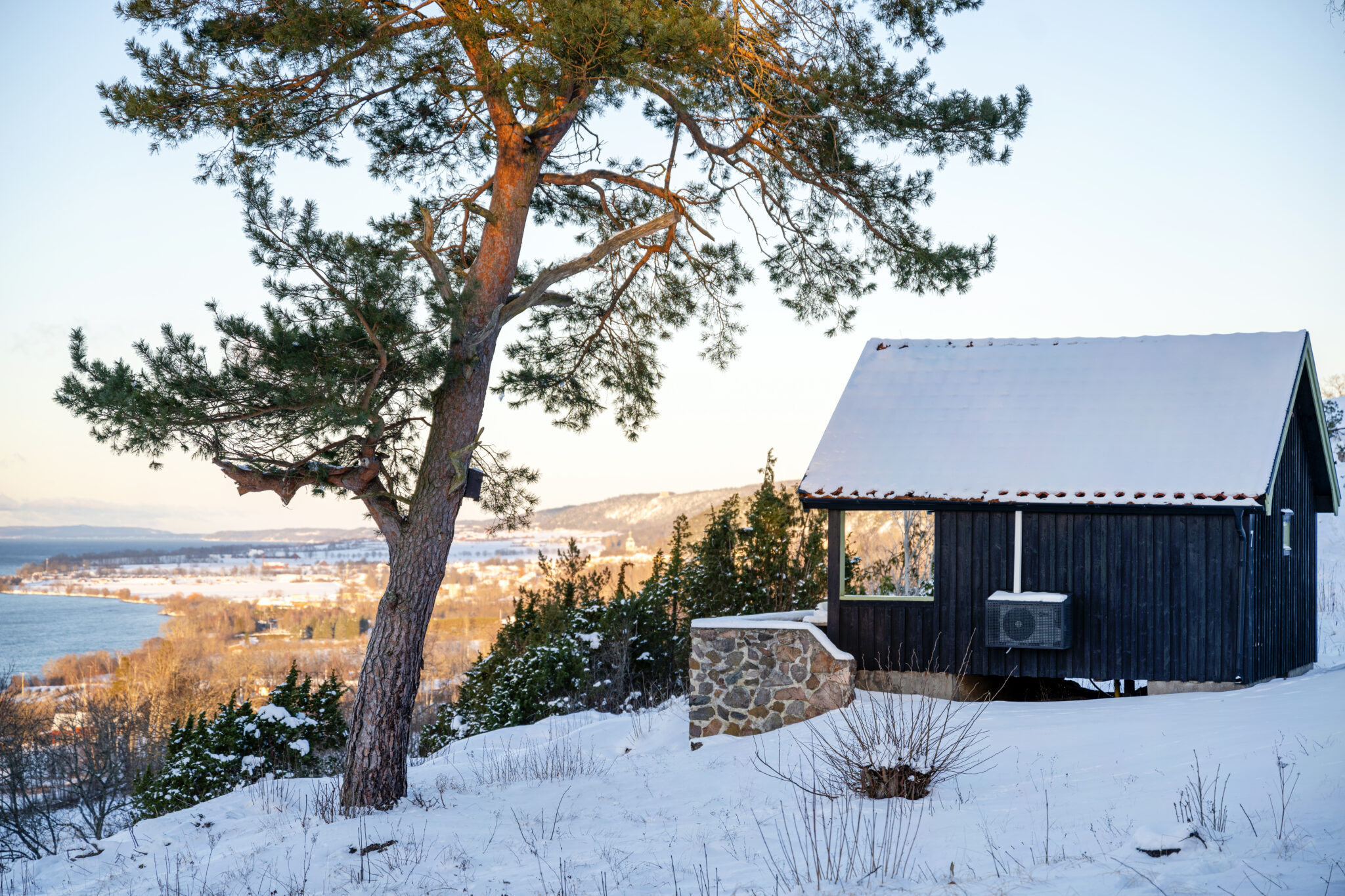 Gyllene Uttern vinter vatternsøen