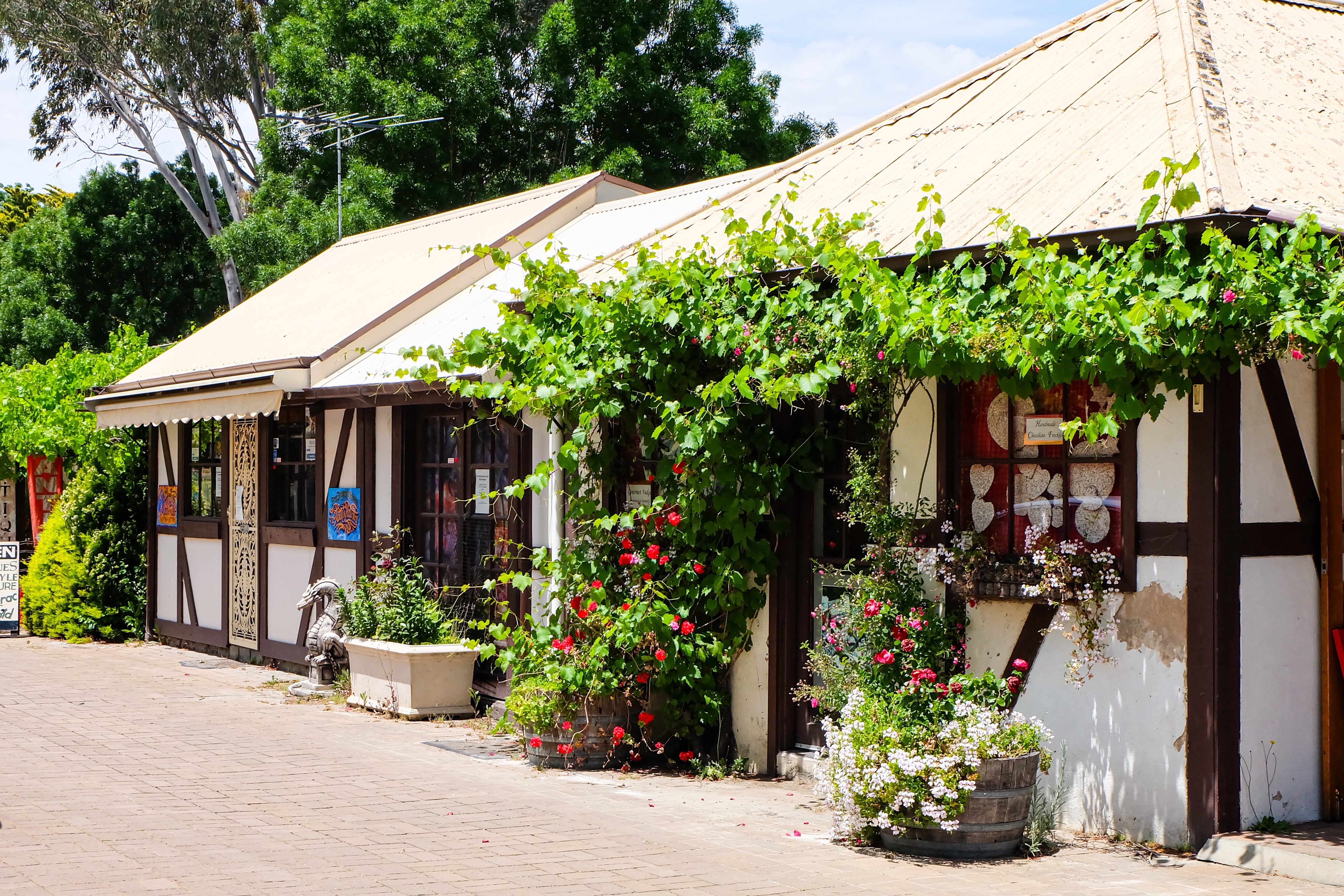 Stemningsfulde tyske bindingsværksbygninger med ranker og roser langs hovedgaden i Hahndorf nær Adelaide, Australien