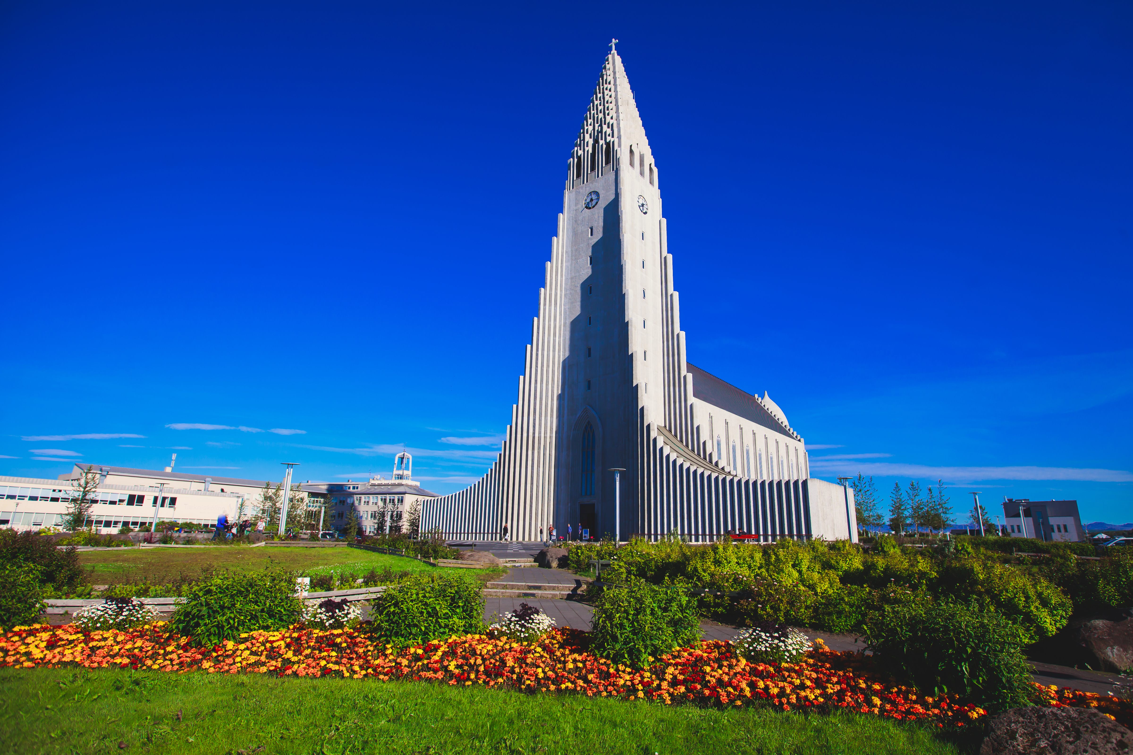 Majestetisk Hallgrimskirkja kirke i Reykjavik centrum på Island med blomsterbed