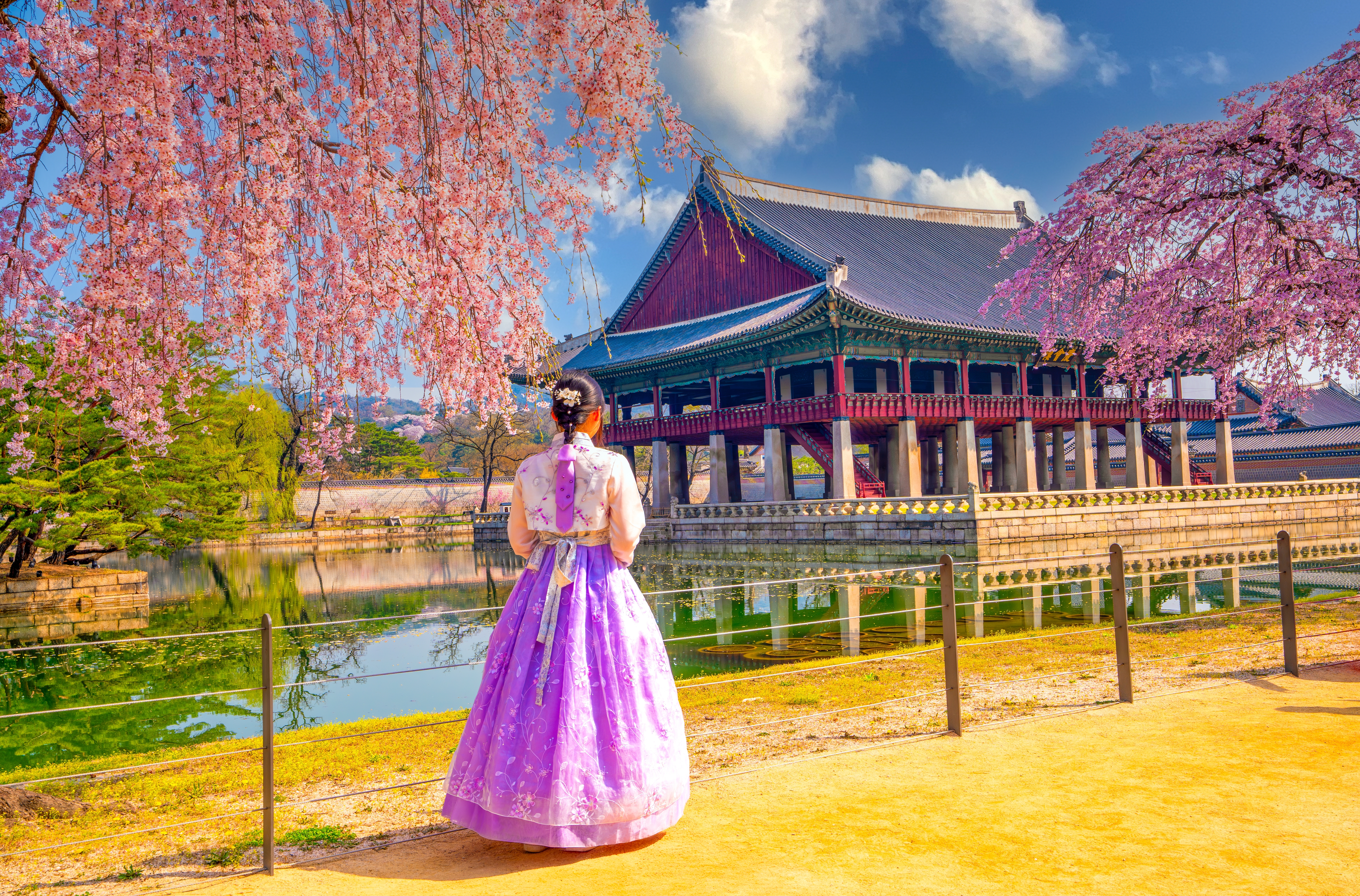 Sydkoreansk kvinde i traditionel hanbok-dragt blandt blomstrende kirsebærtræer ved det majestætiske Gyeongbokgung Palads i Seoul - et fascinerende indblik i koreansk kultur og forårsskønhed