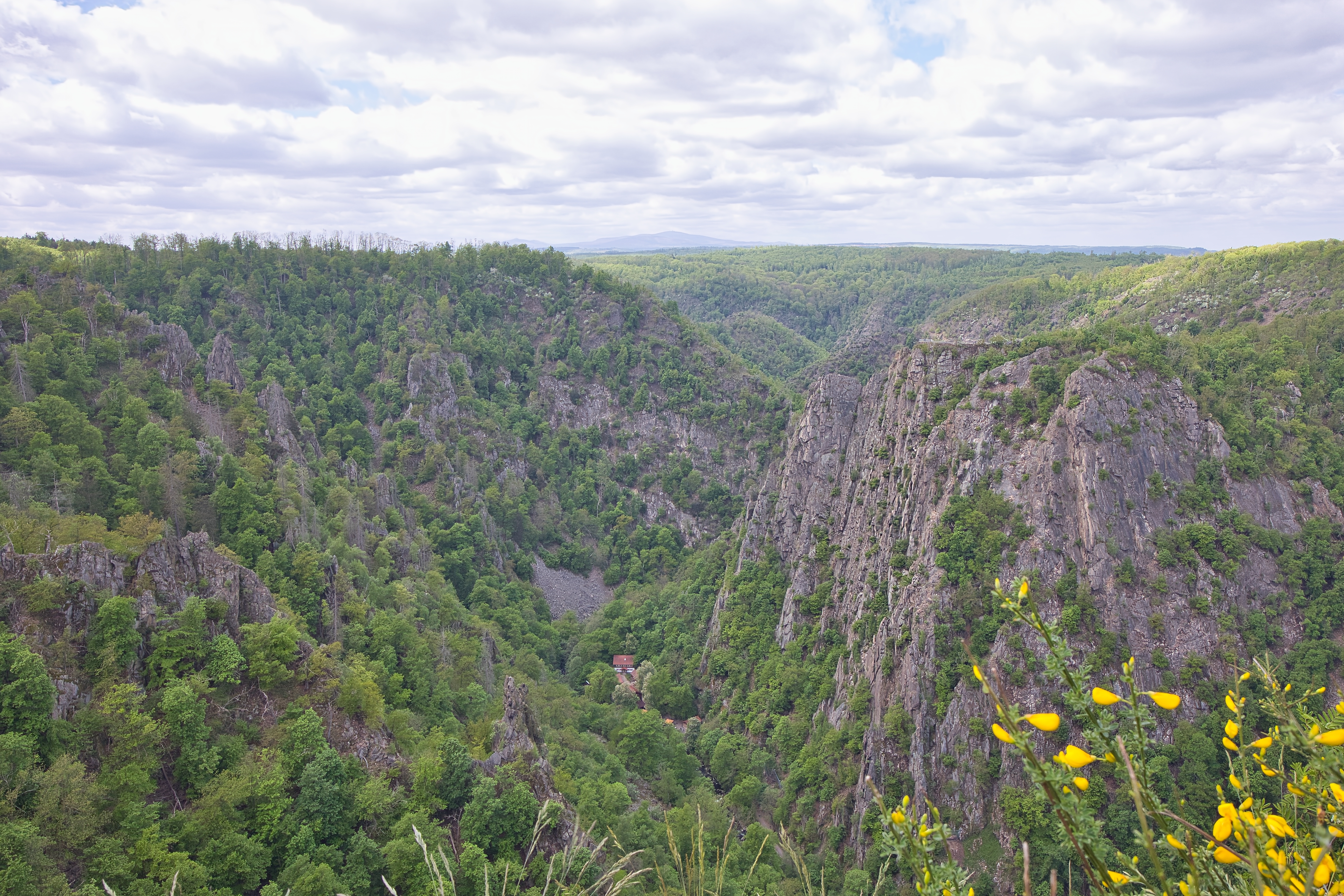 Naturskønt panorama over Bodetalens dybe dal med dramatiske klipper og tæt skovbevoksning i Harzen, Tyskland