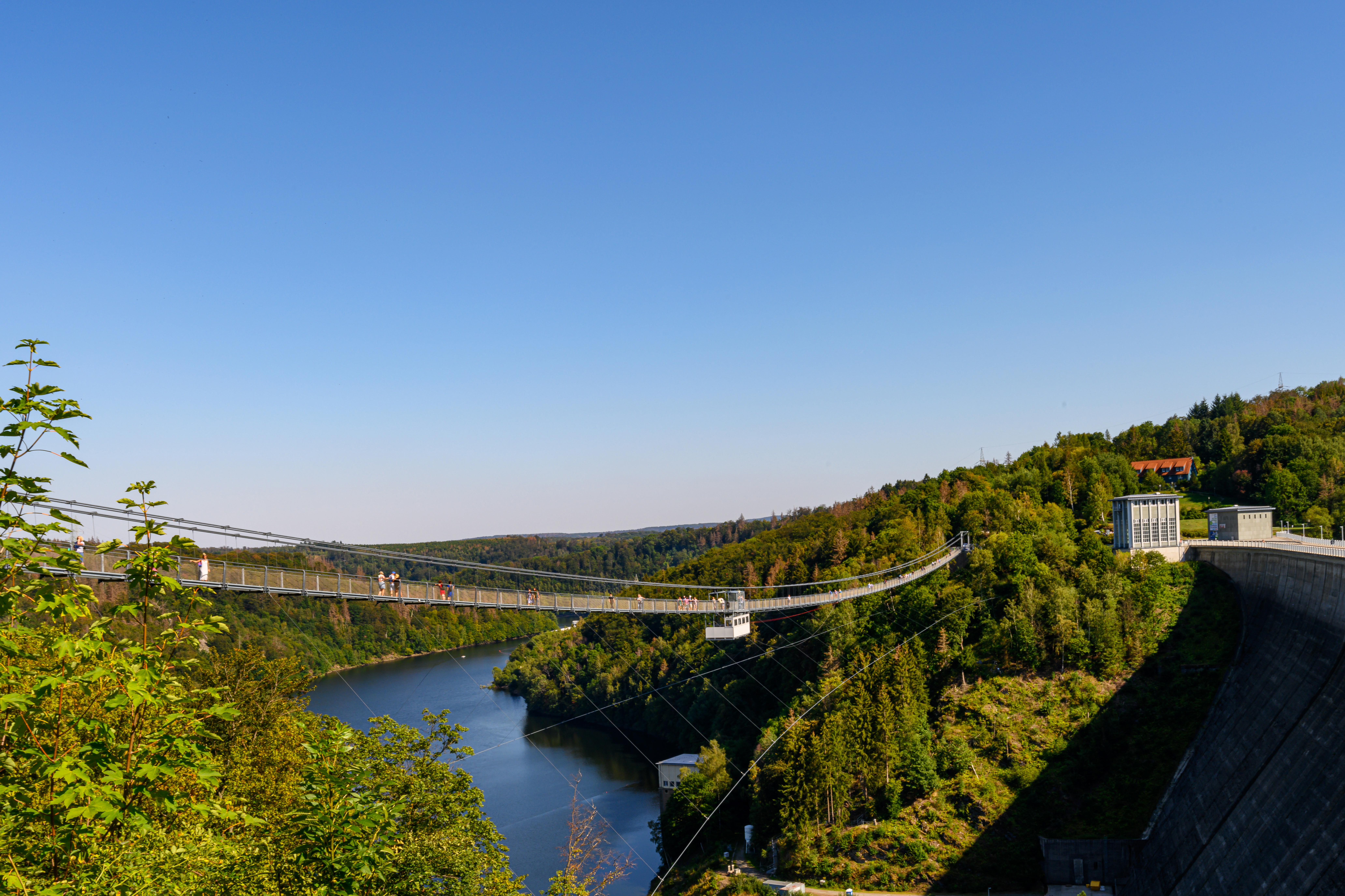 Hængebro over det smukke Rappbode-reservoir i Harzen, Sachsen-Anhalt, omgivet af frodig natur