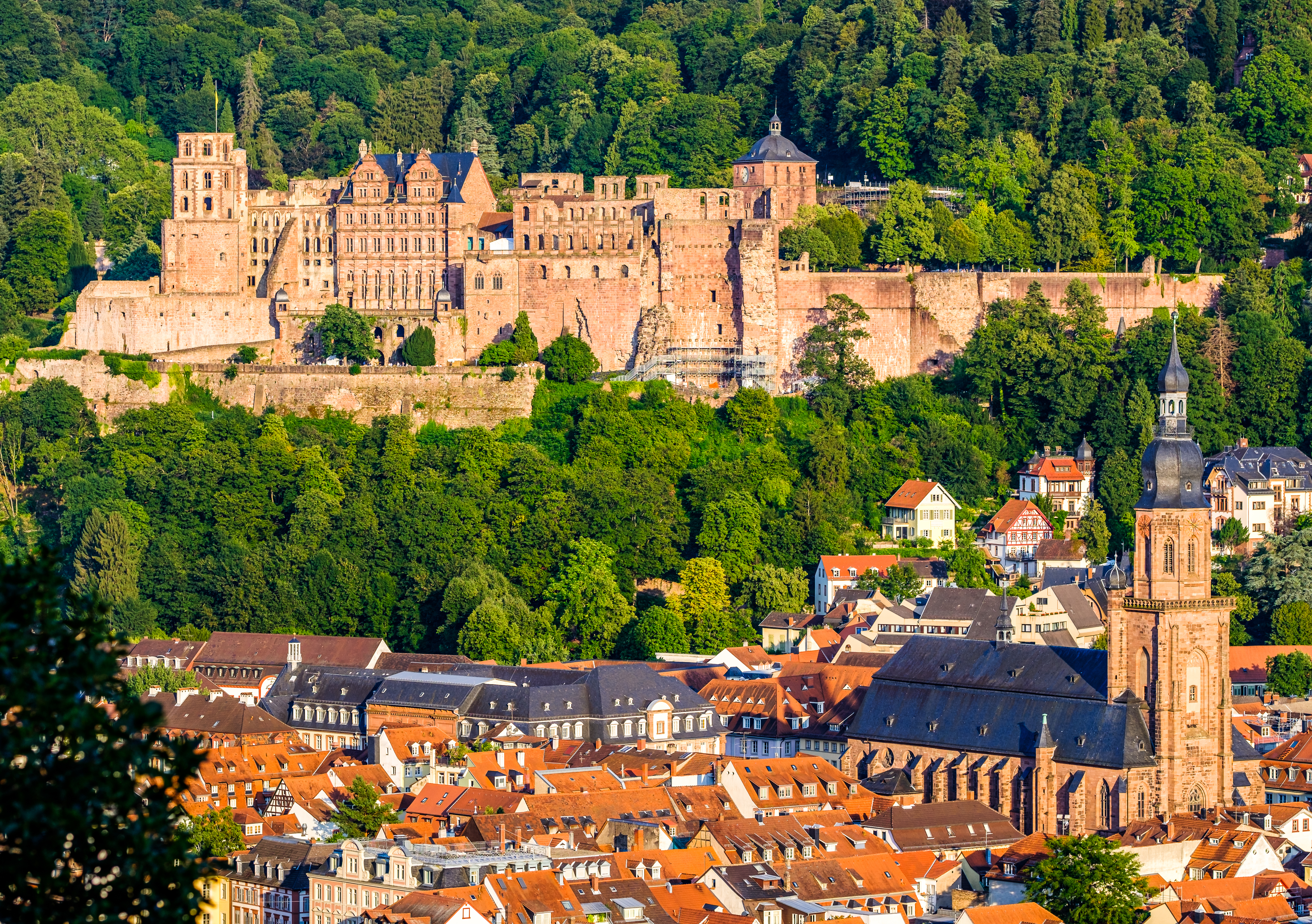 Det imponerende Heidelberg Slot med udsigt over Neckar-floden og den gamle bydel, et fantastisk udflugtssted på flodkrydstogter