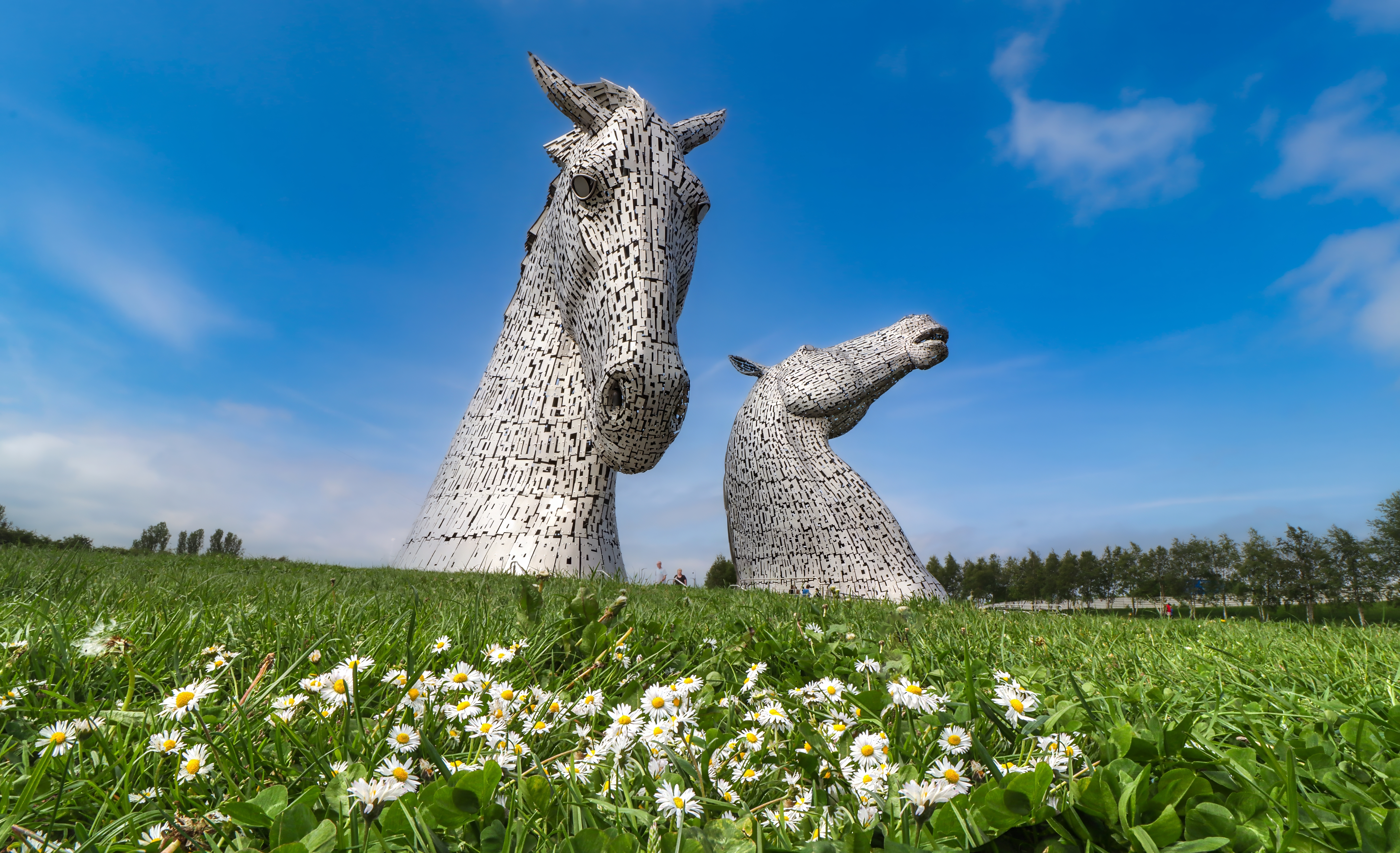 Oplev de fascinerende Kelpies i Falkirk - storslåede 30 meter høje hestehovedskulpturer i skinnende metal, der er blevet et must-see på enhver rejse til Skotland