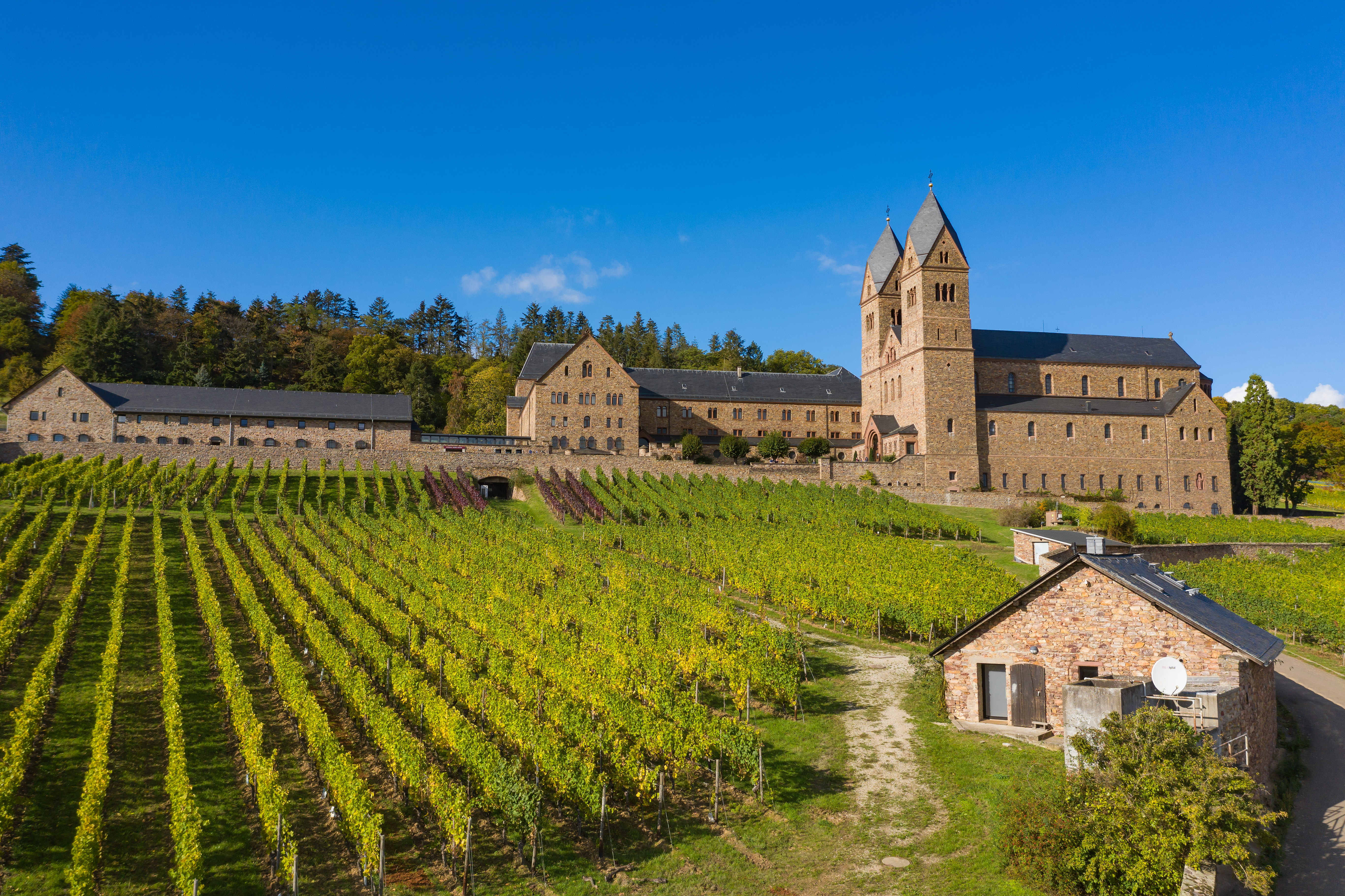 Historisk kloster ved Rüdesheim i Rheingau, omgivet af frodige vinmarker og skov under blå himmel i efteråret