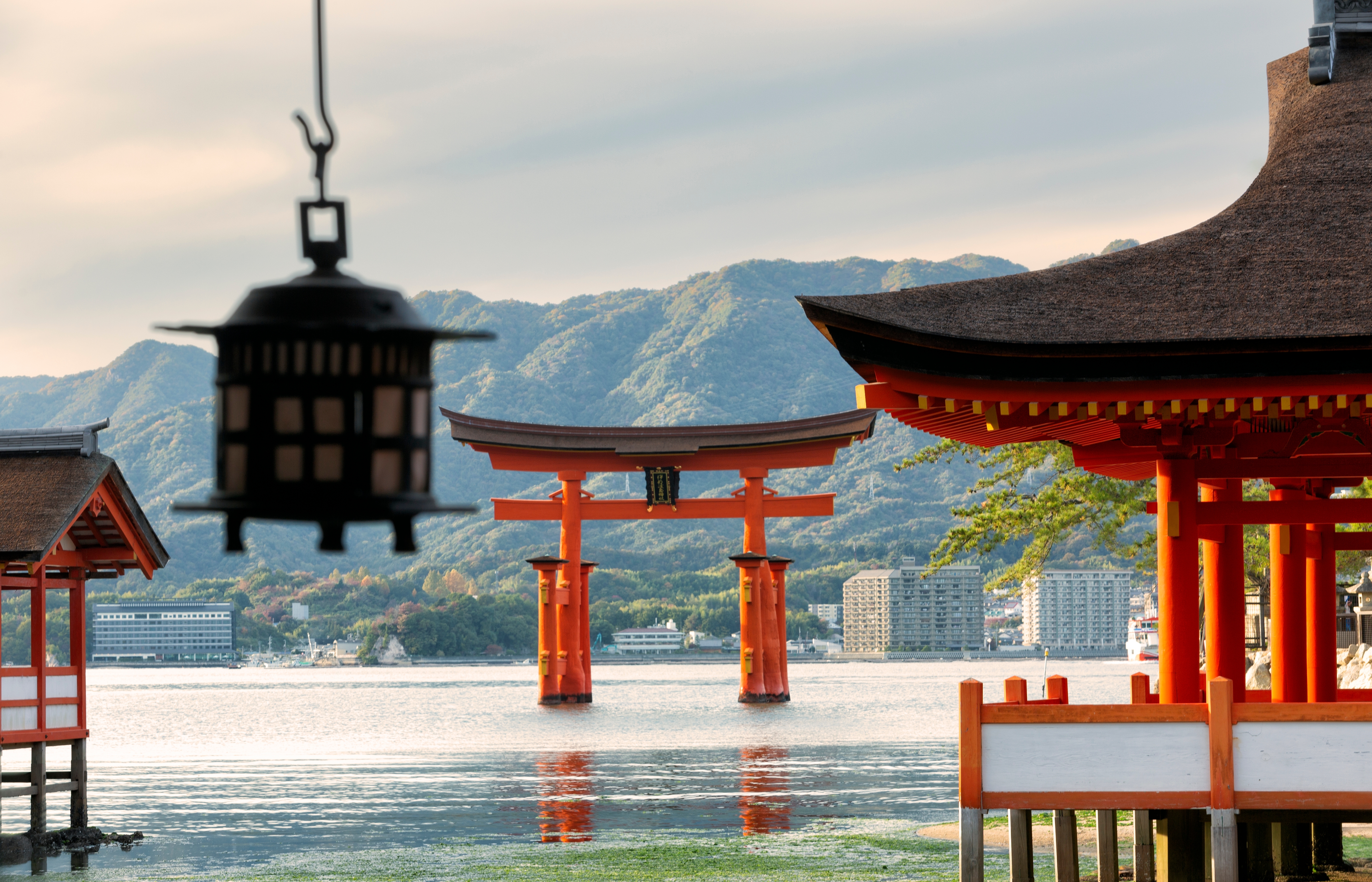 Fredfyldt udsigt til den flydende torii-port og Itsukushima-helligdommen på Miyajima-øen i Hiroshima-området, et af Japans mest hellige steder
