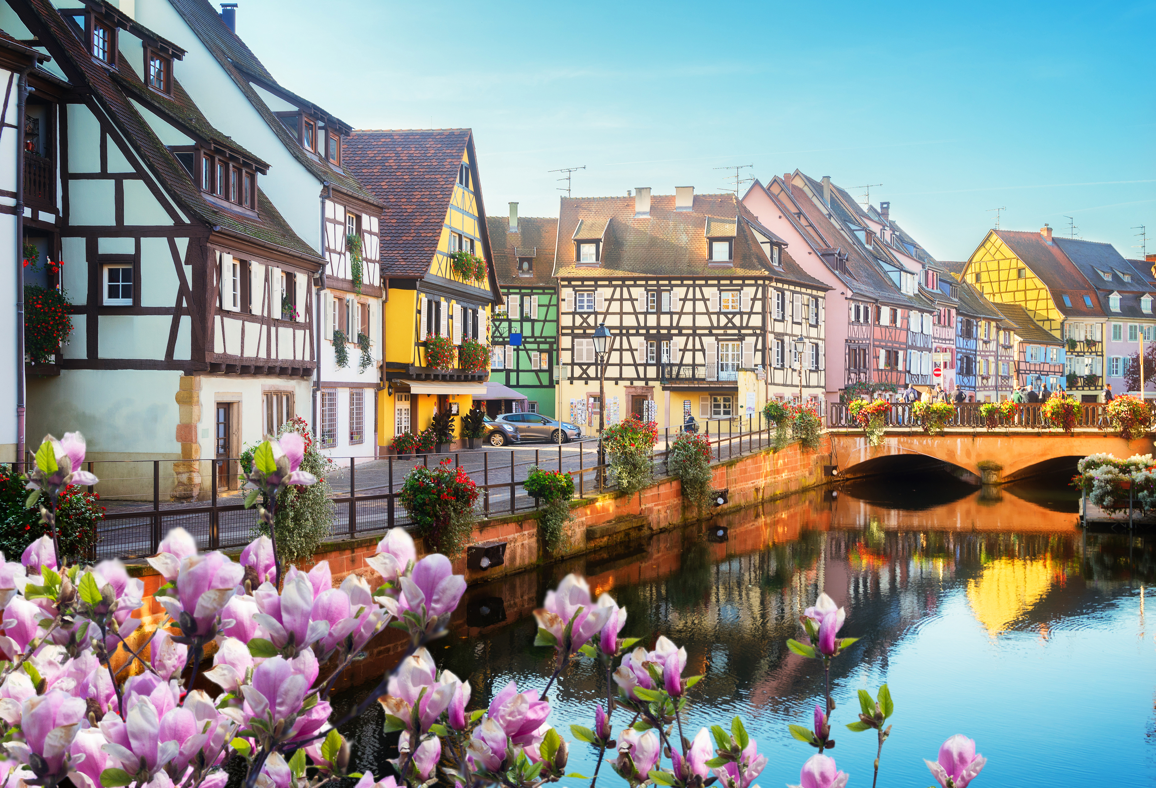 Charmerende bindingsværkshuse ved kanal med blomstrende træer i den historiske by Colmar