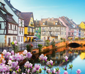 Charmerende bindingsværkshuse ved kanal med blomstrende træer i den historiske by Colmar