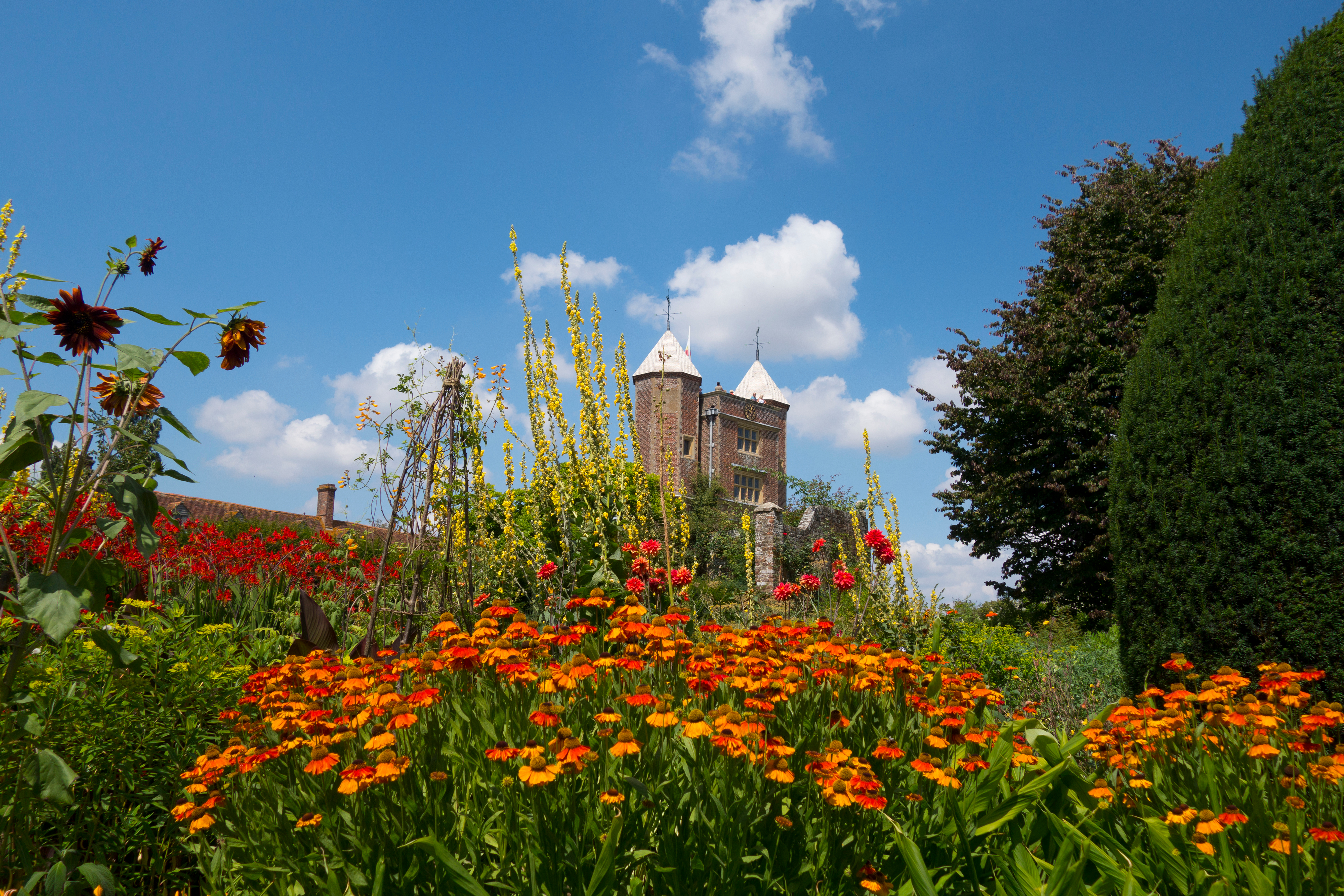 Europæisk slot med karakteristiske tårne set gennem blomstrende have med calendula