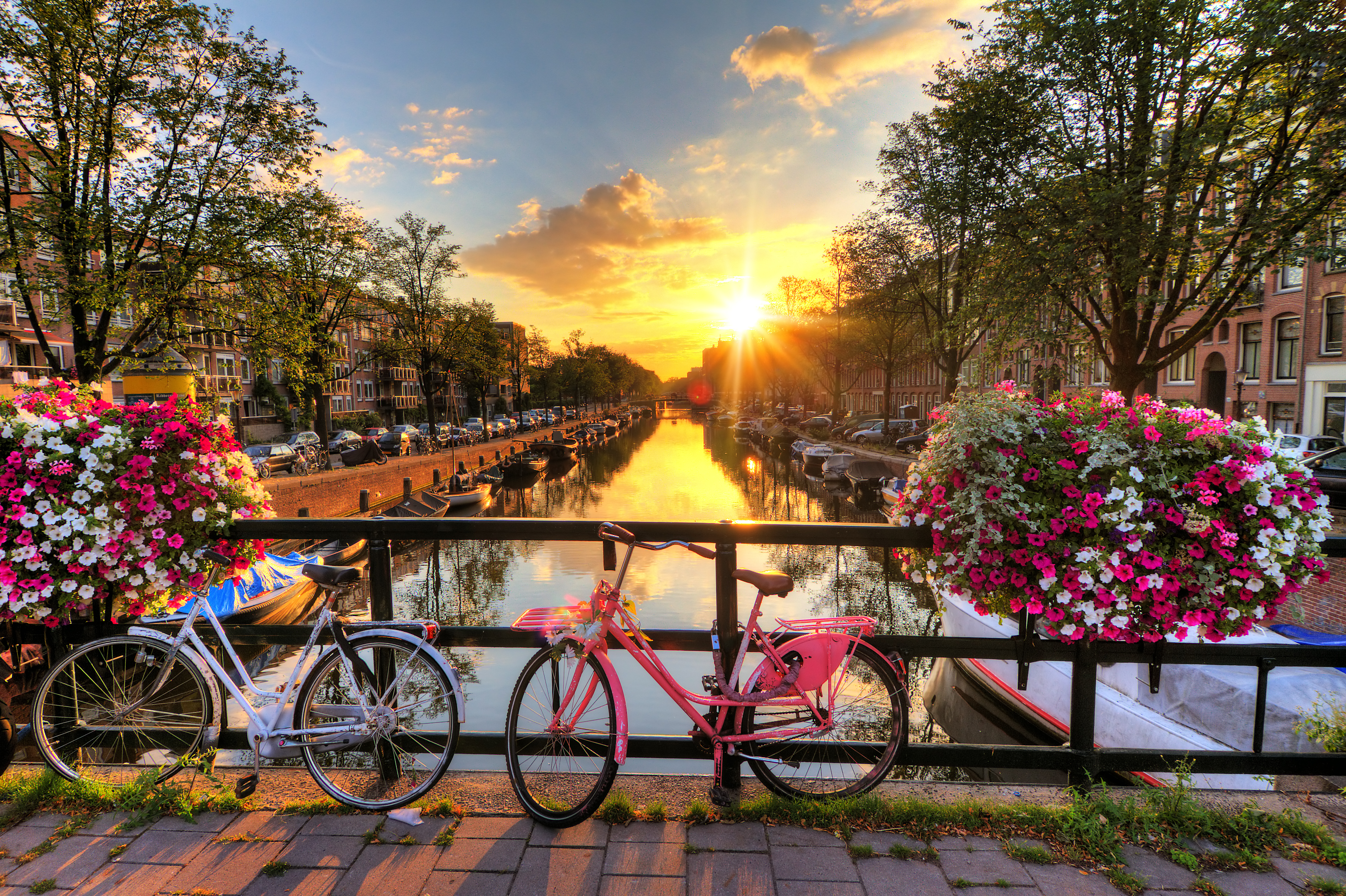 Romantisk Amsterdam kanal med farverige cykler og blomsterdekorationer ved solnedgang