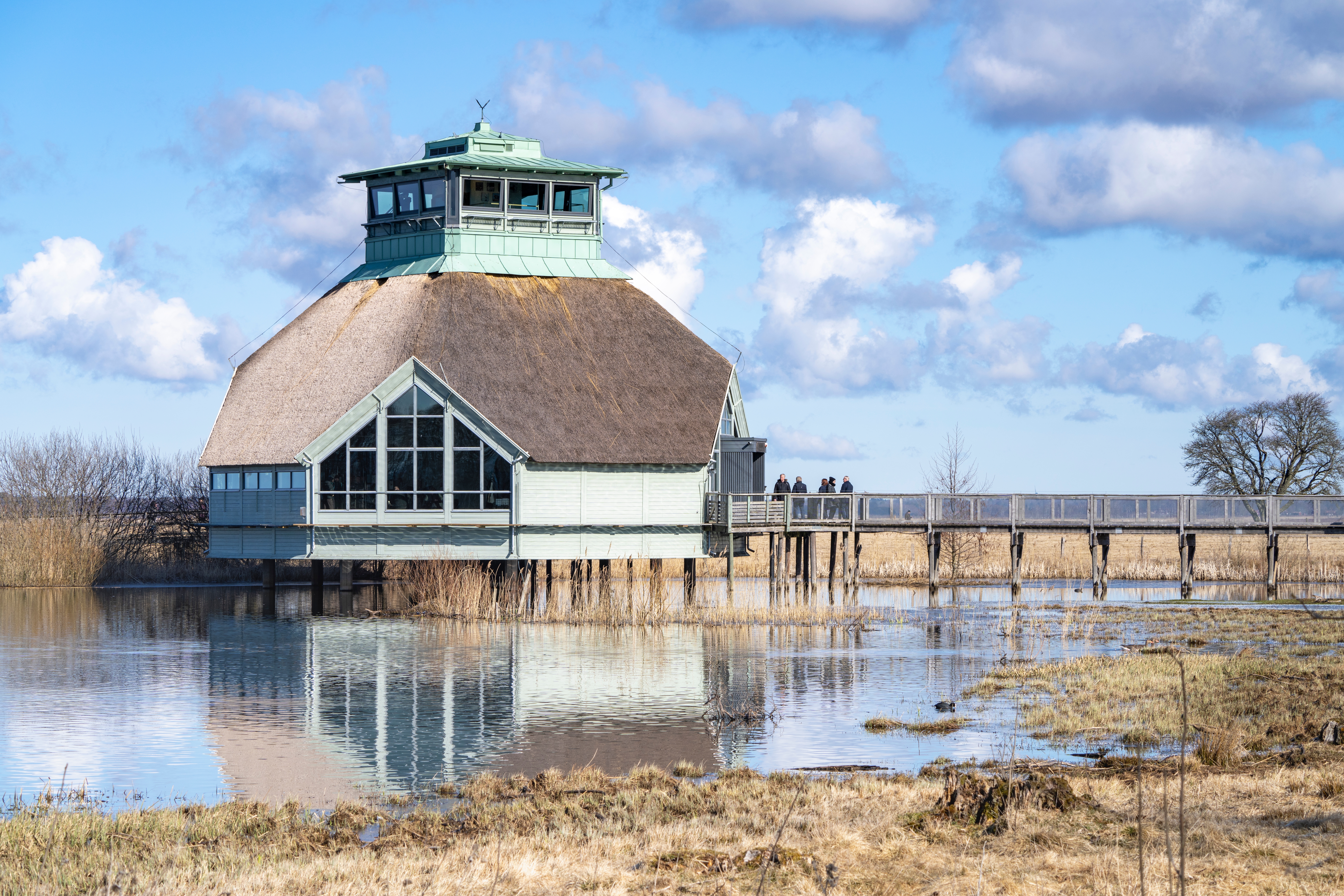 Fuglekiggeri og naturreservat ved Hornborga Sø i Sverige med idyllisk besøgscenter bygget på pæle over vådområdet