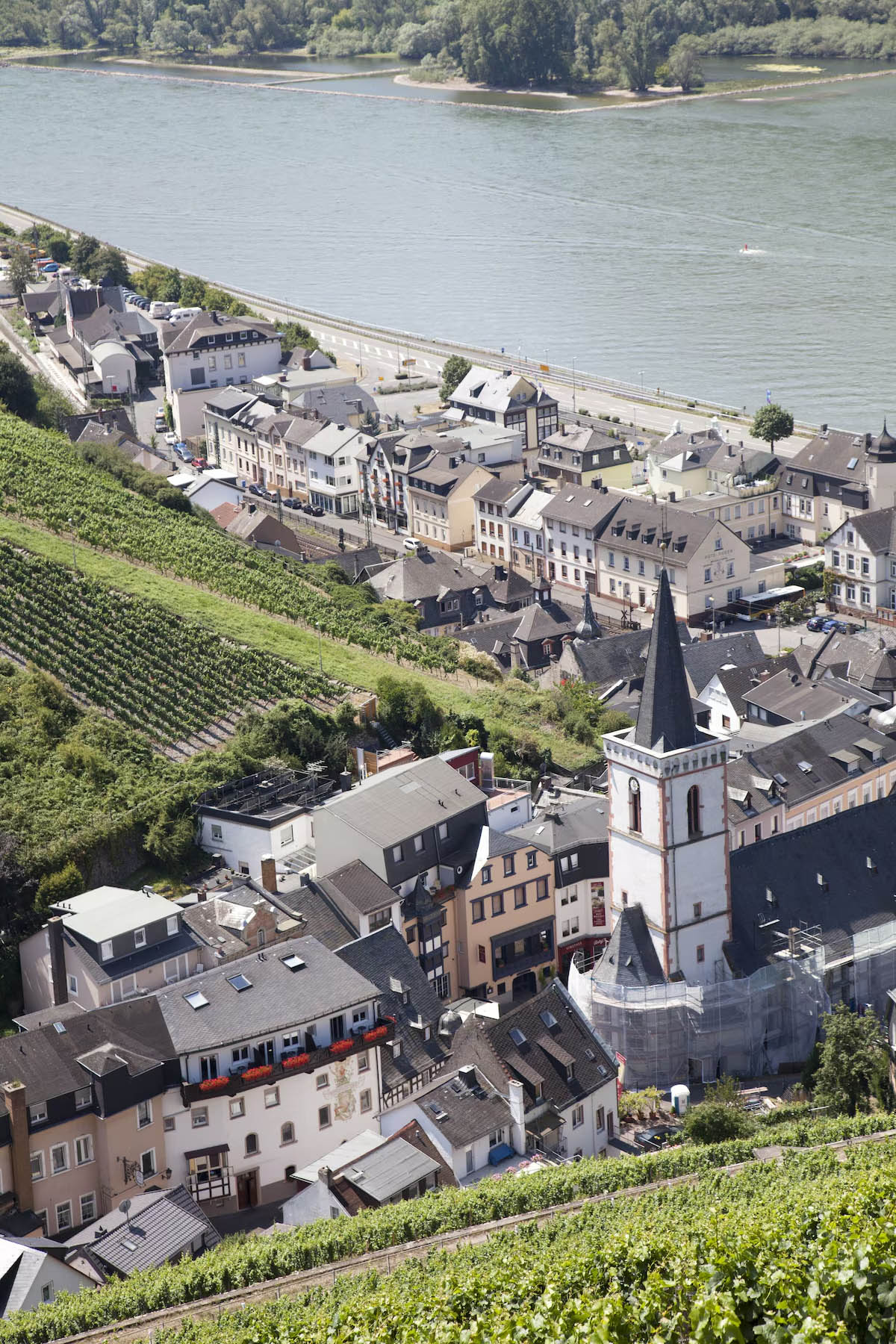 hotel zwei mohren assmansshausen 007
