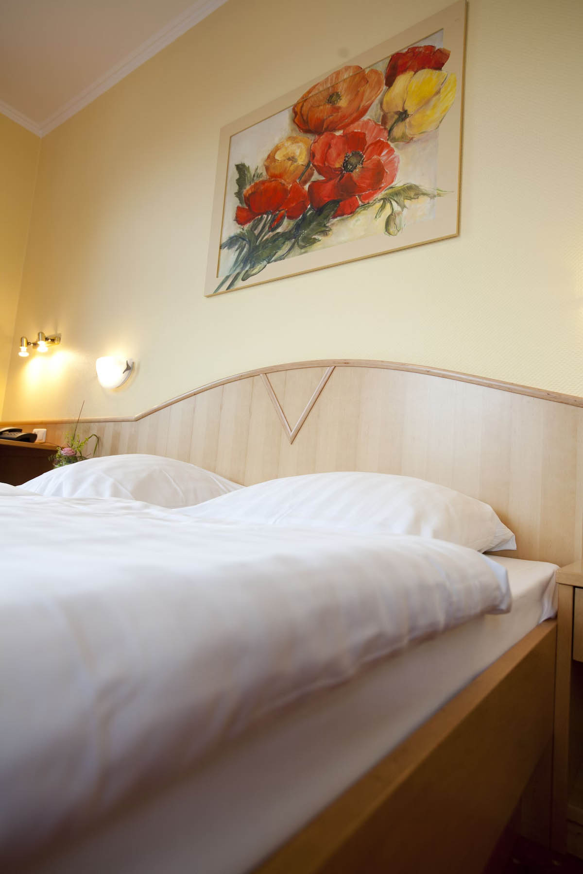 hotel zwei mohren assmansshausen 010