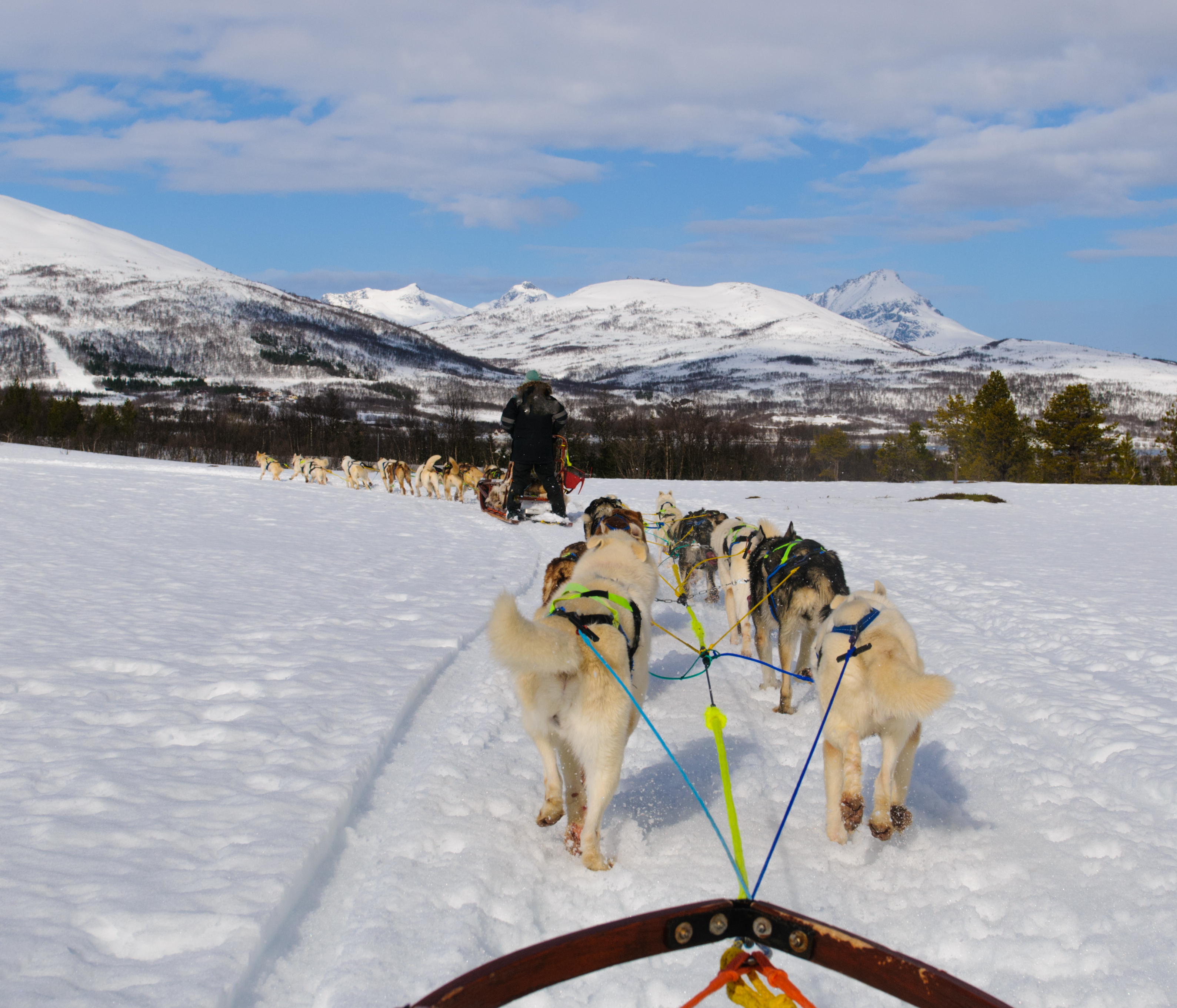 Eventyrlig hundeslædetur med huskyhunde gennem snelandskab i Tromsø-området i Nordnorge