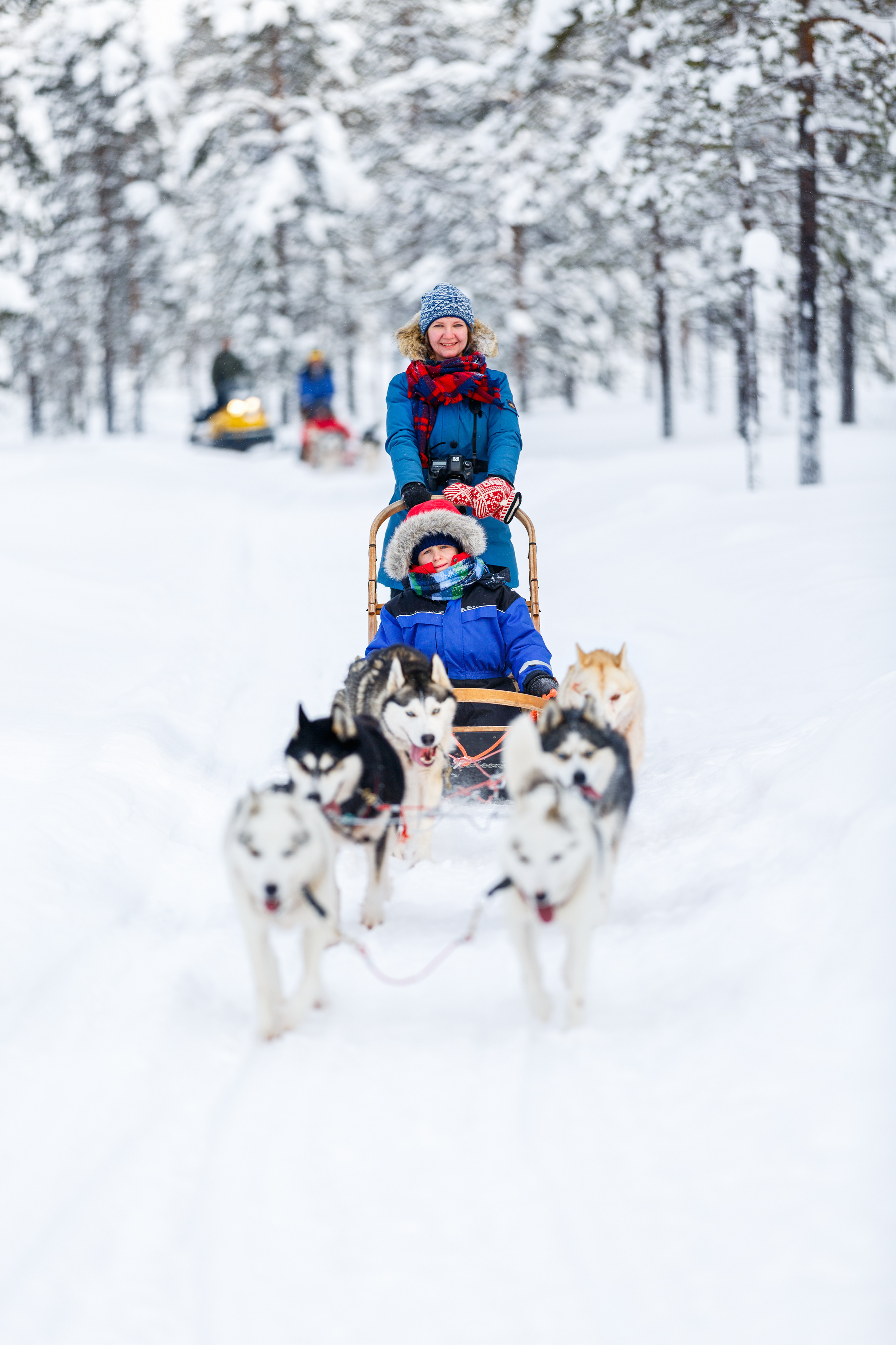 Spændende husky-slædetur for hele familien i Laplands snedækkede vinterlandskab i Finland