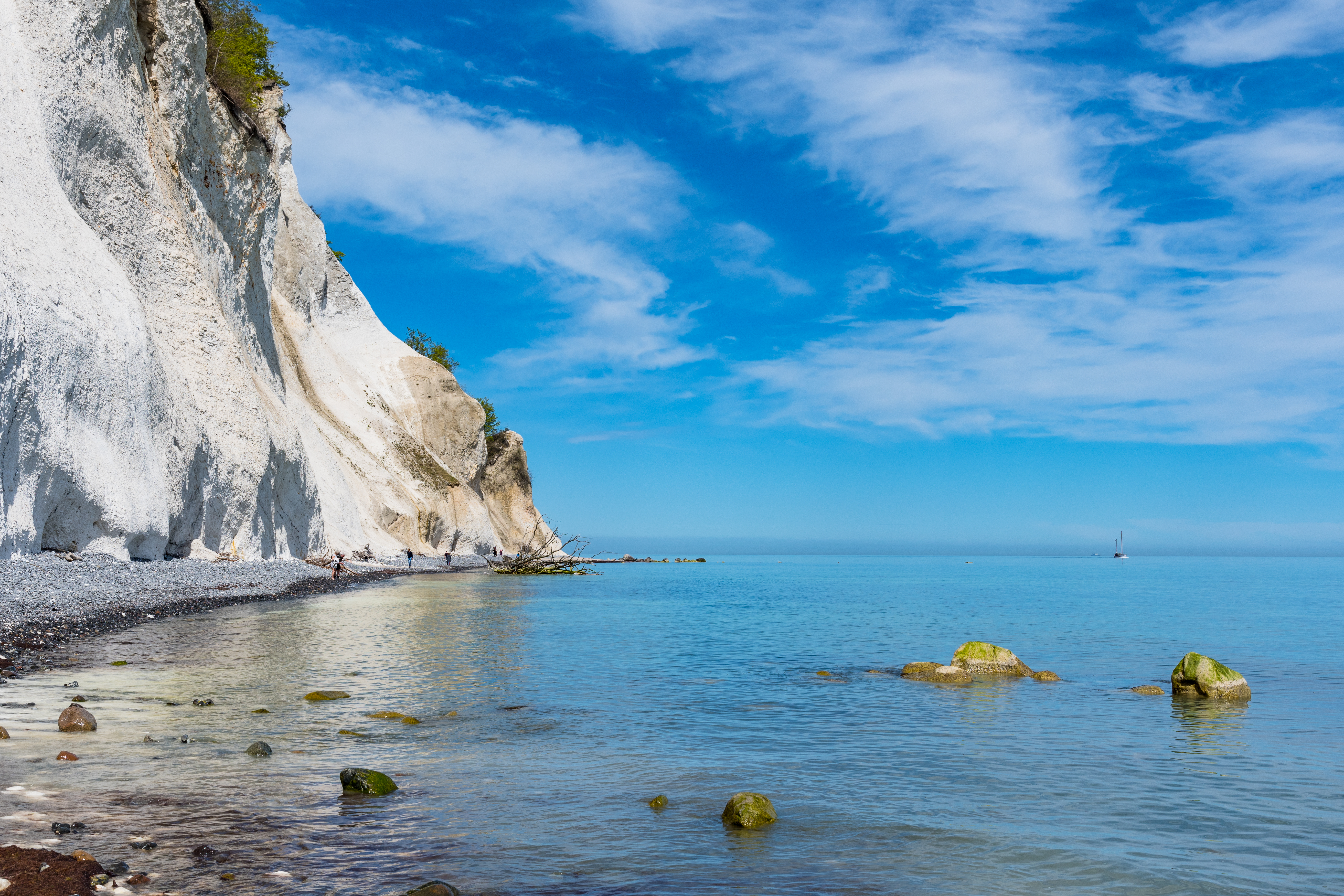 Møns Klint naturreservat med imponerende hvide kalkstensklipper