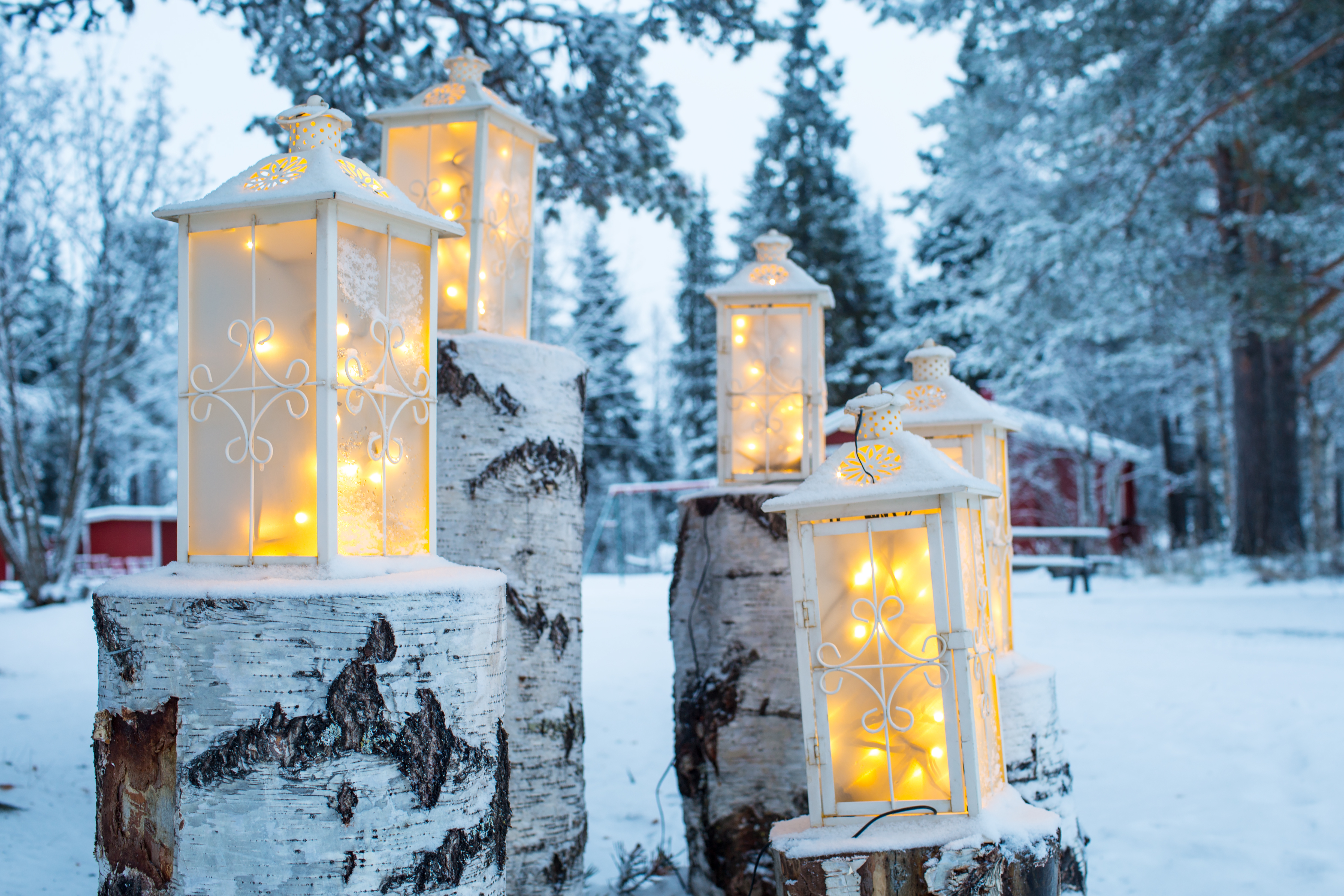Elegante hvide lanterner på snedækkede birkestammer i nordisk vinteridyl