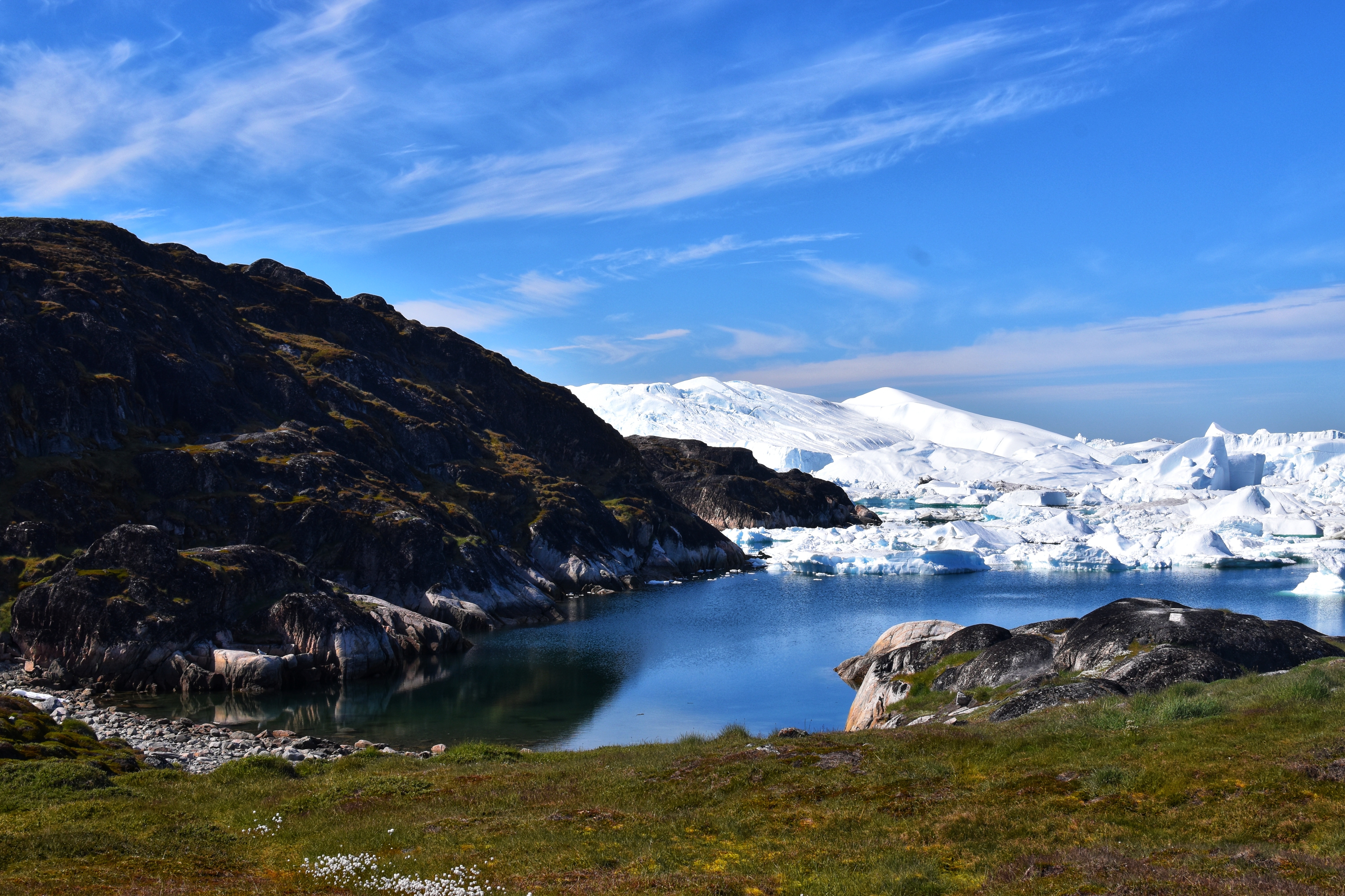 Eventyrligt syn af Ilulissat Isfjord i Grønland med kæmpe flydende isbjerge, blåt stille vand og grønne arktiske enge i forgrunden